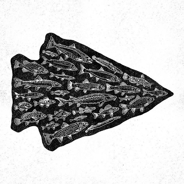 Just keep swimming 🐟 #arrowhead #keepswimming