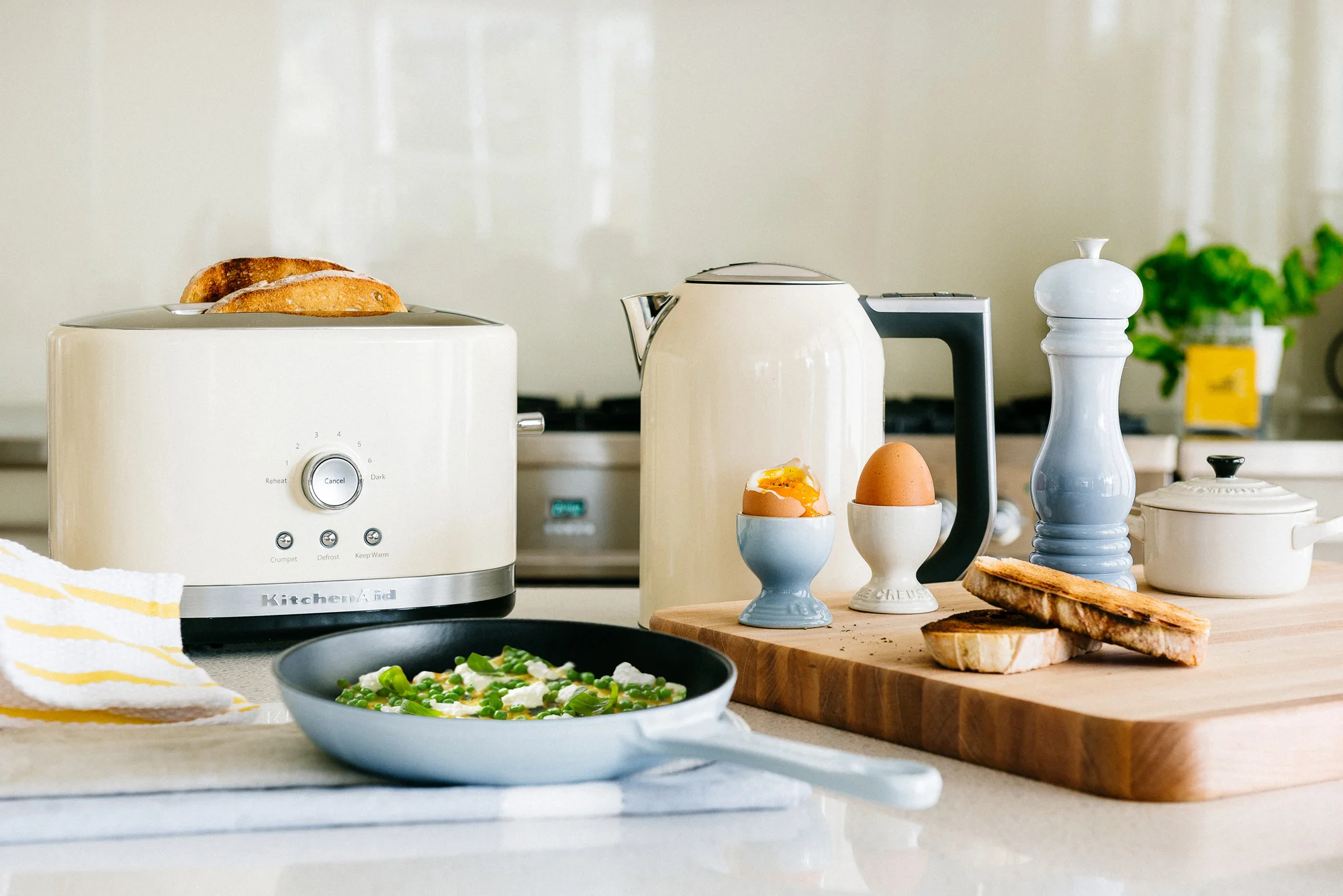 Milly's Breakfast Shot