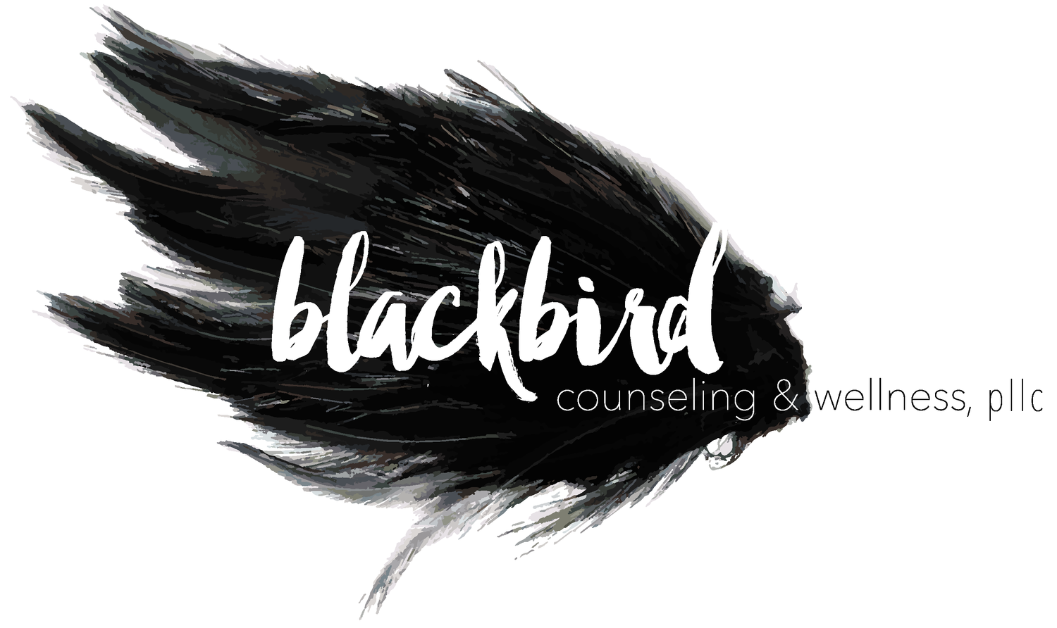 Blackbird Counseling & Wellness San Antonio