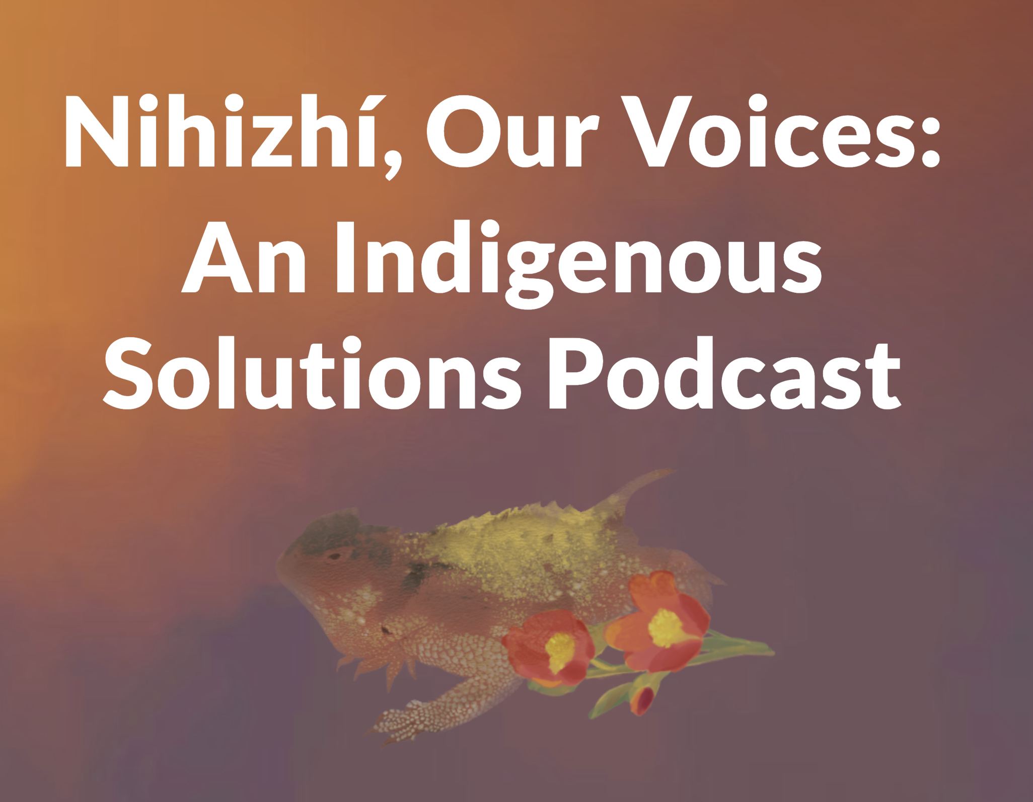 Screenshot 2026-02-12 at 11.20.01 AM.png