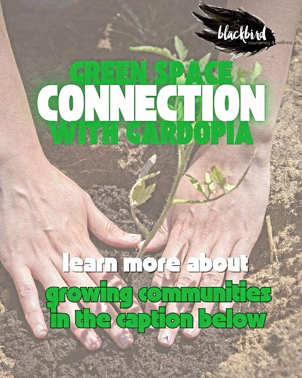 🌱 Care for our Community, Planet &amp; Self 

Gardopia Gardens @gardopiagardens is transforming San Antonio neighborhoods through urban agriculture, education, and community empowerment. They create green spaces that build connection, food access, a