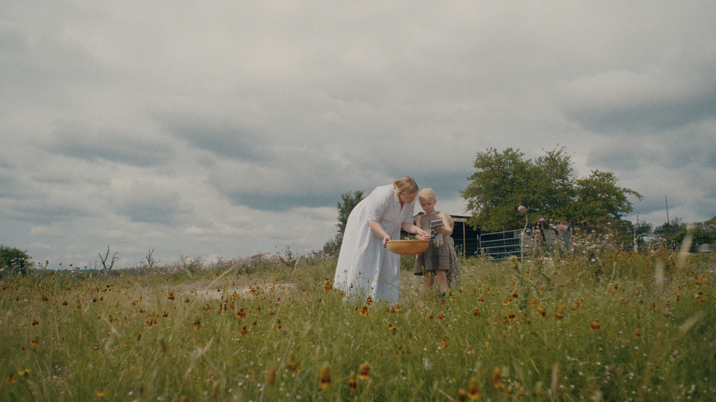 TINY FARMS | SHORT DOC | DIRECTOR | 2024