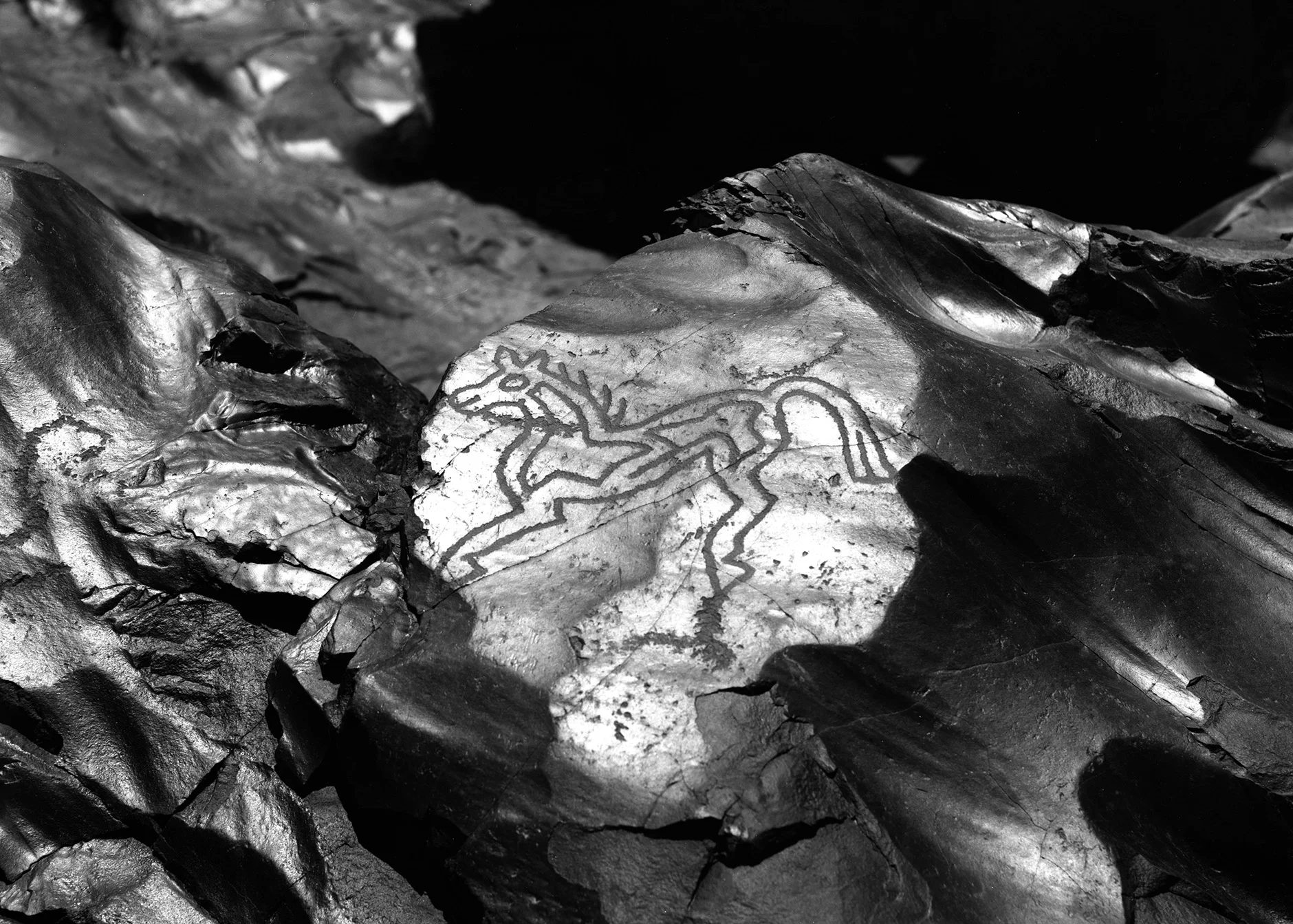 web20170209_0047.jpg