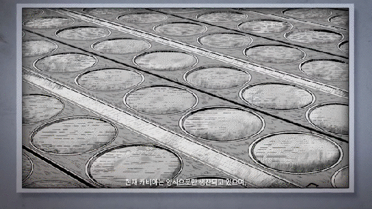 비밀이야 부티크 ｜ CAVIAR2.gif