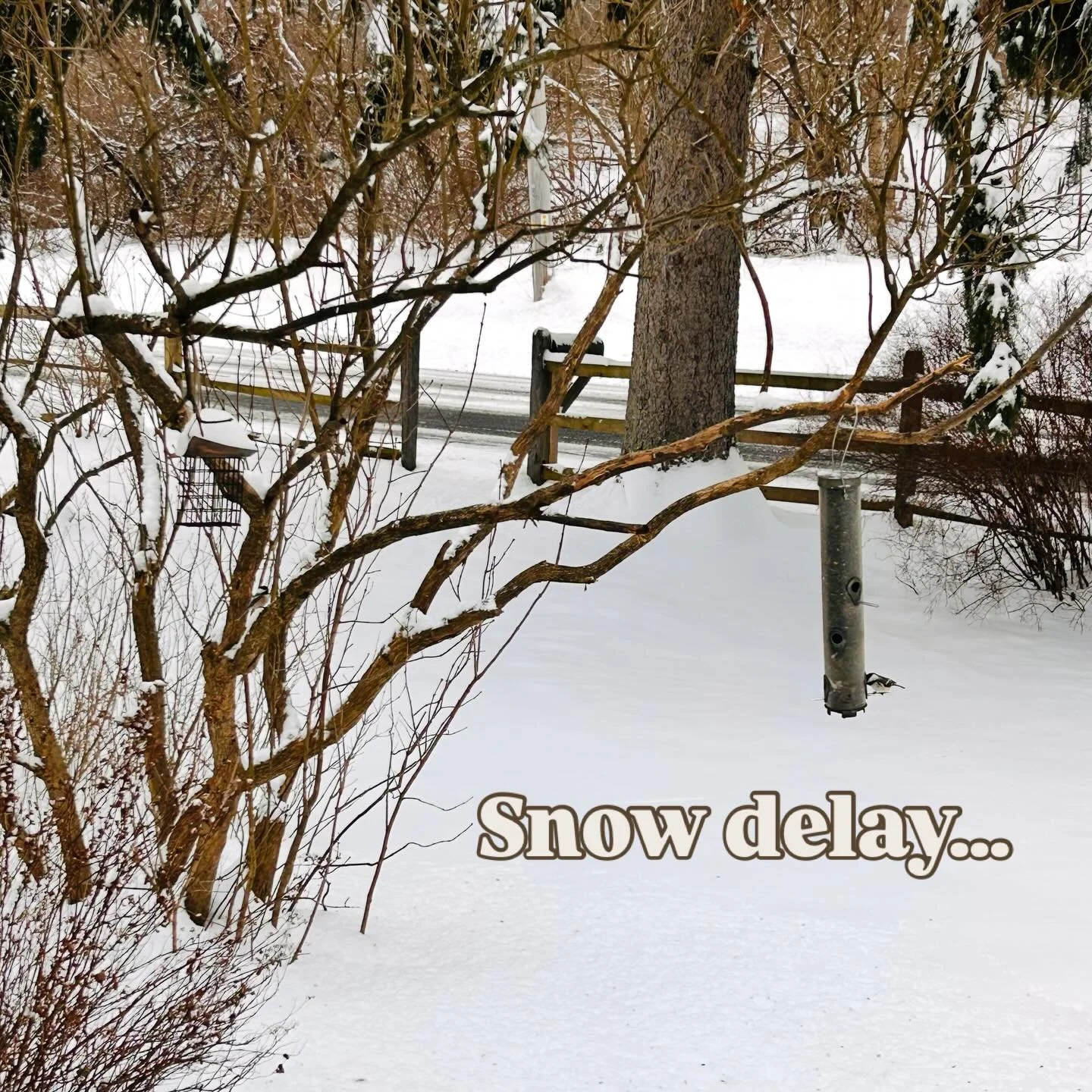 We will open by 10ish for those that want more than birdseed for breakfast. Please stop by!