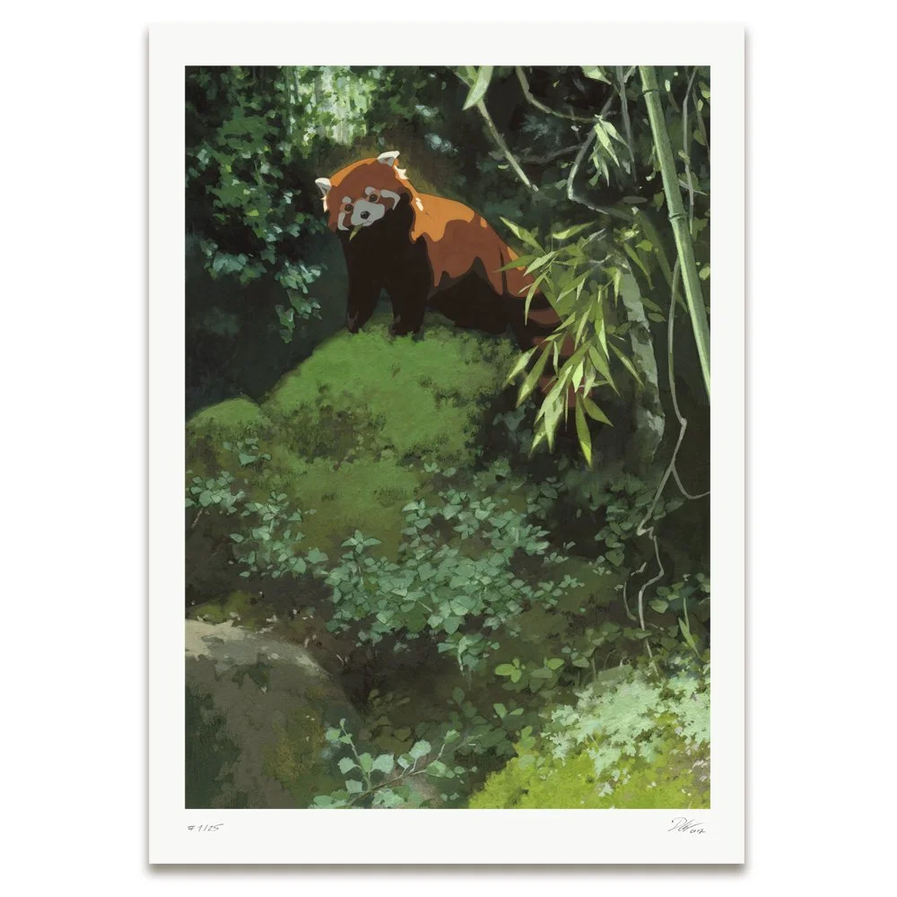 Red Panda Fine Art Print by Djamila Knopf.jpg