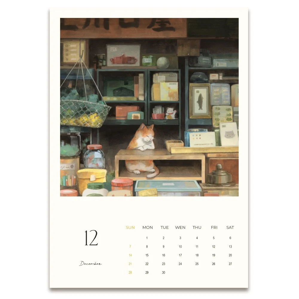 12 Cats in Weird Places 2025 Calendar by Djamila Knopf.jpg