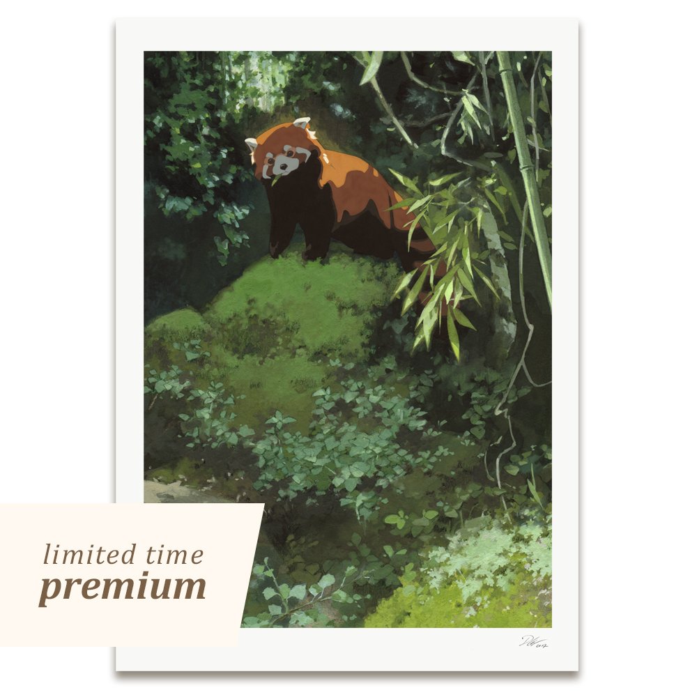 Red Panda Premium Fine Art Print by Djamila Knopf.jpg