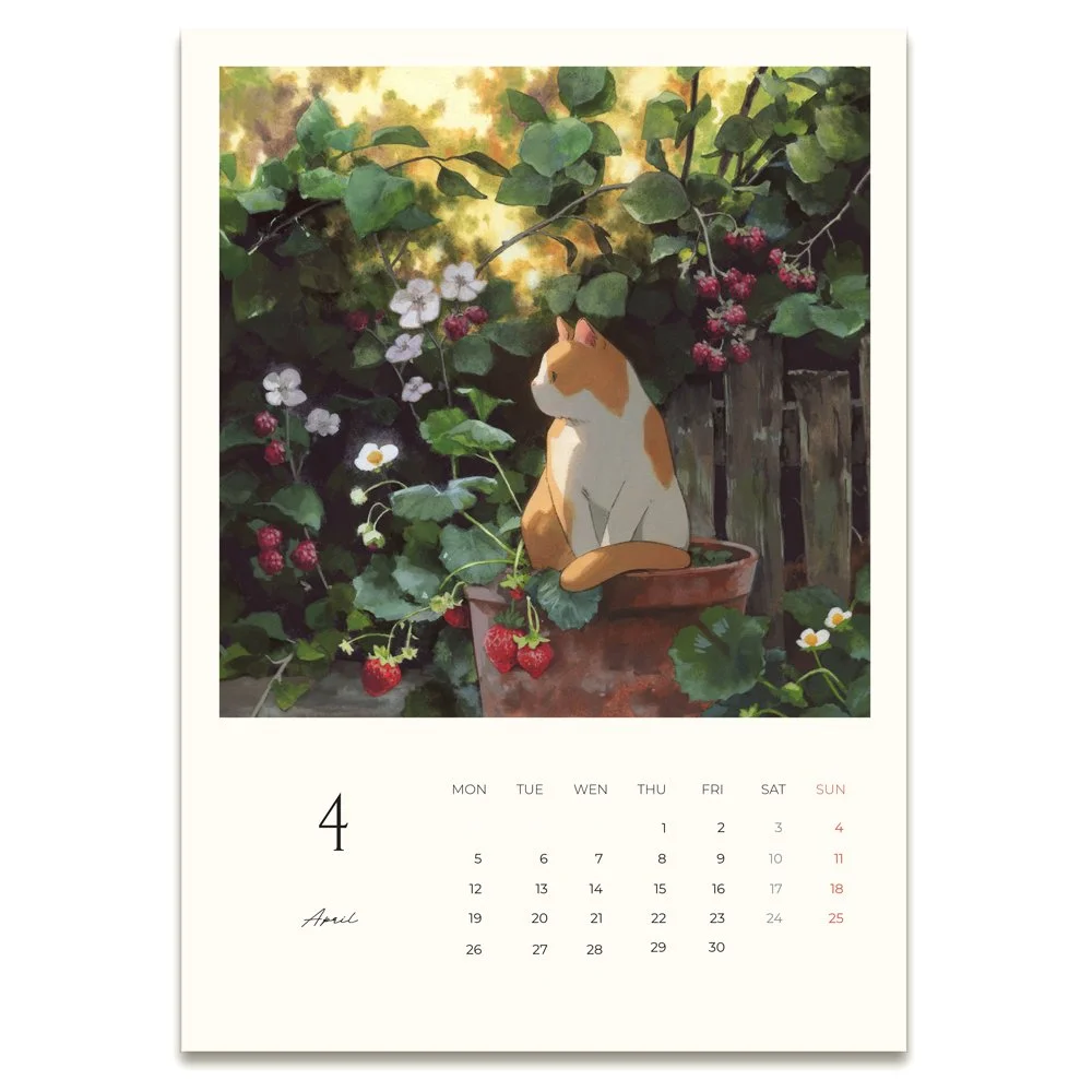 Djamila Knopf_Cats in Weird Places 2027 Calendar (4).jpg