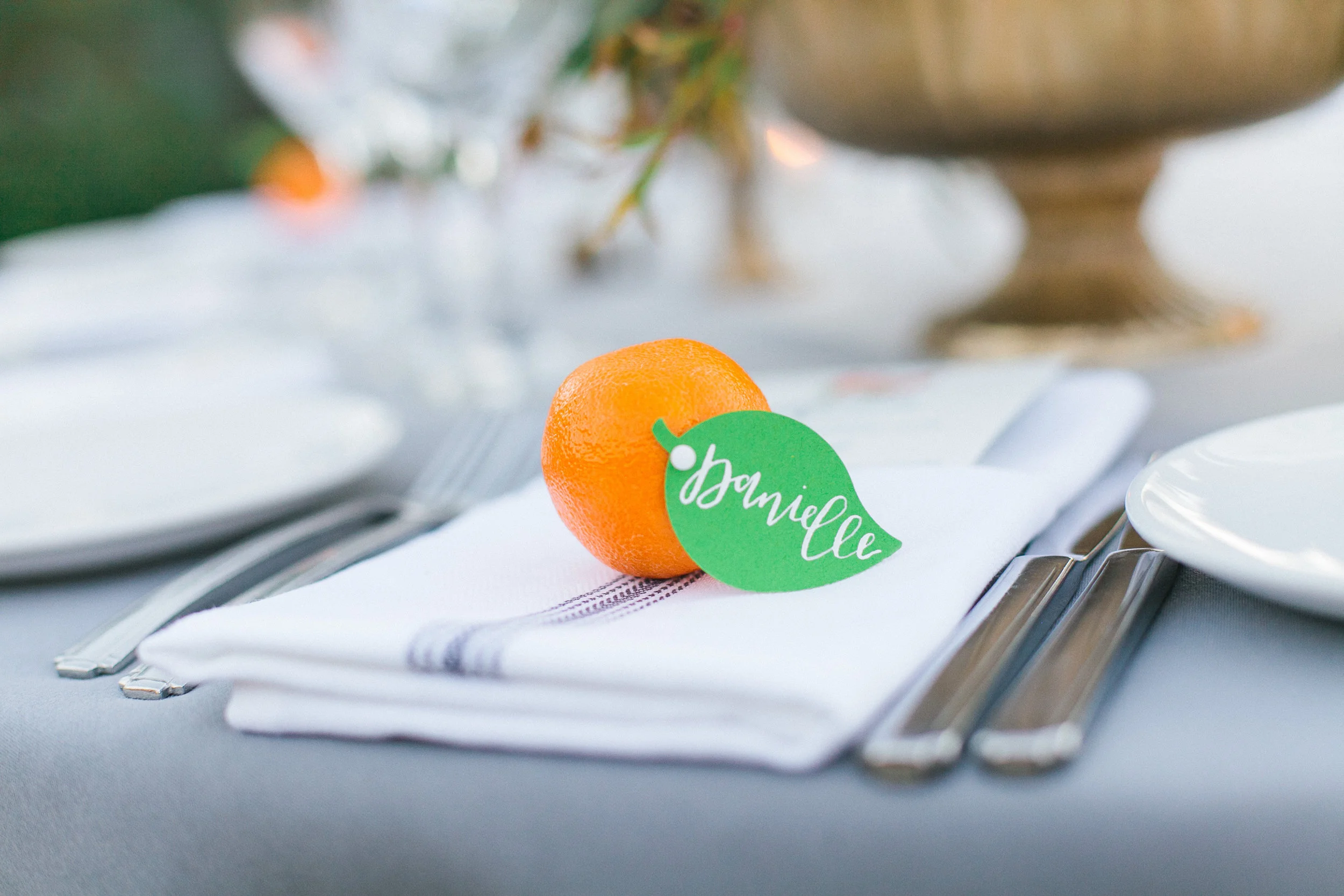 Andrew + Jade Photography