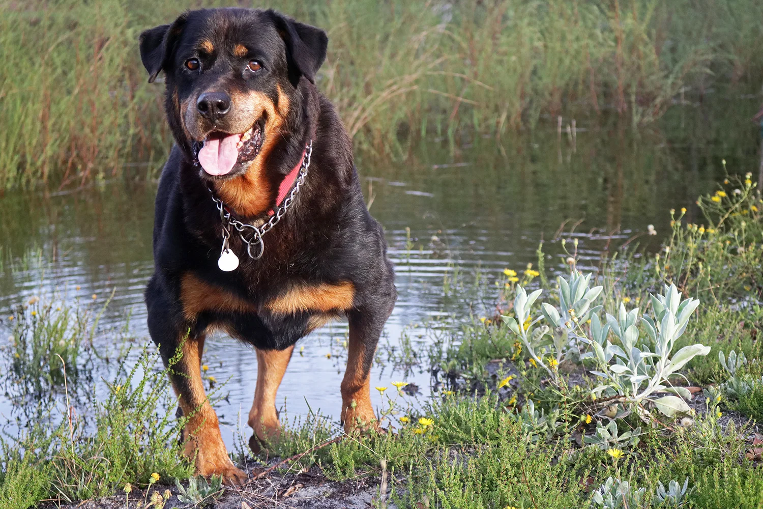 Always End on a Positive