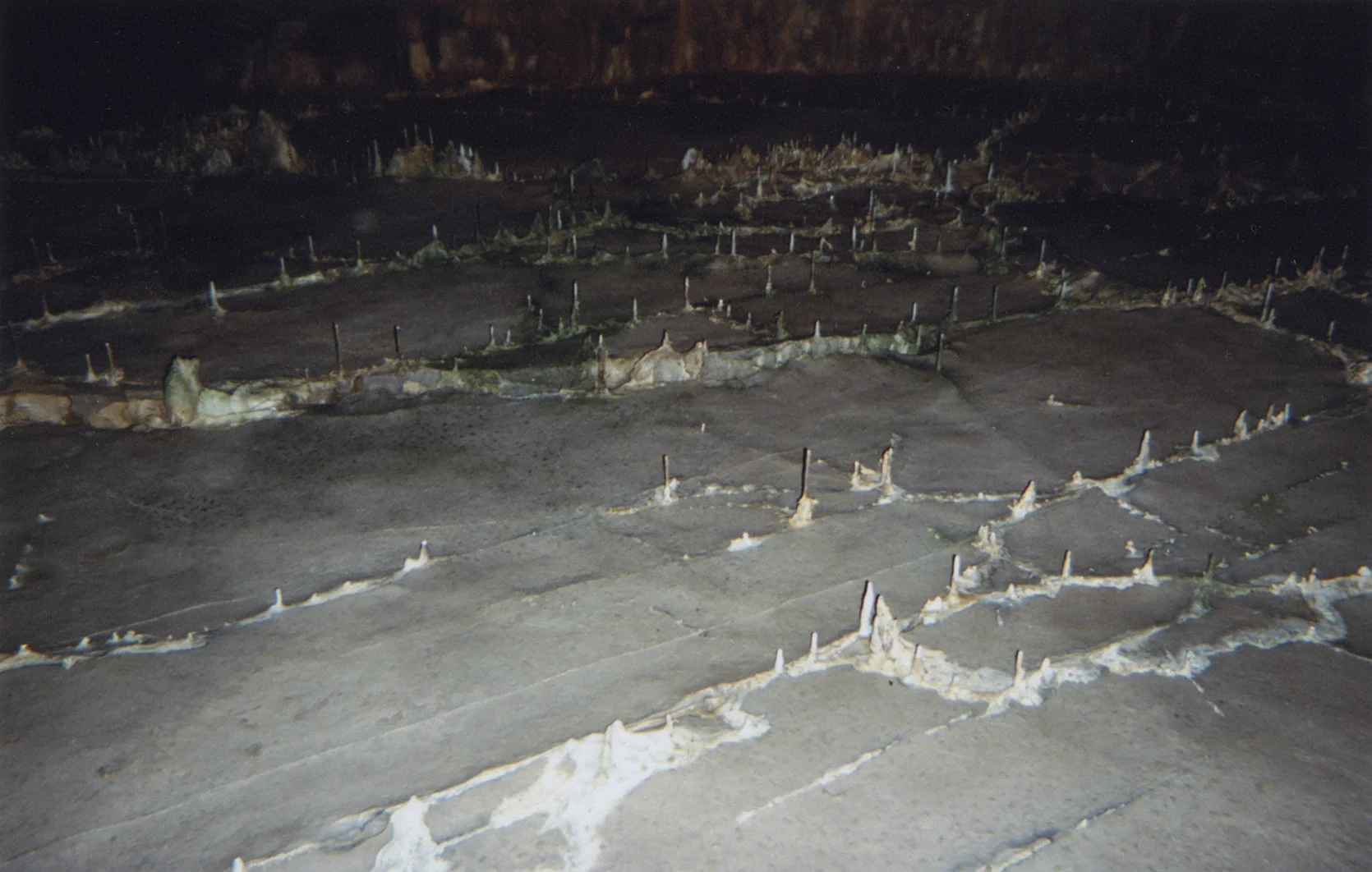 Disposable 34, 2016, C-print.