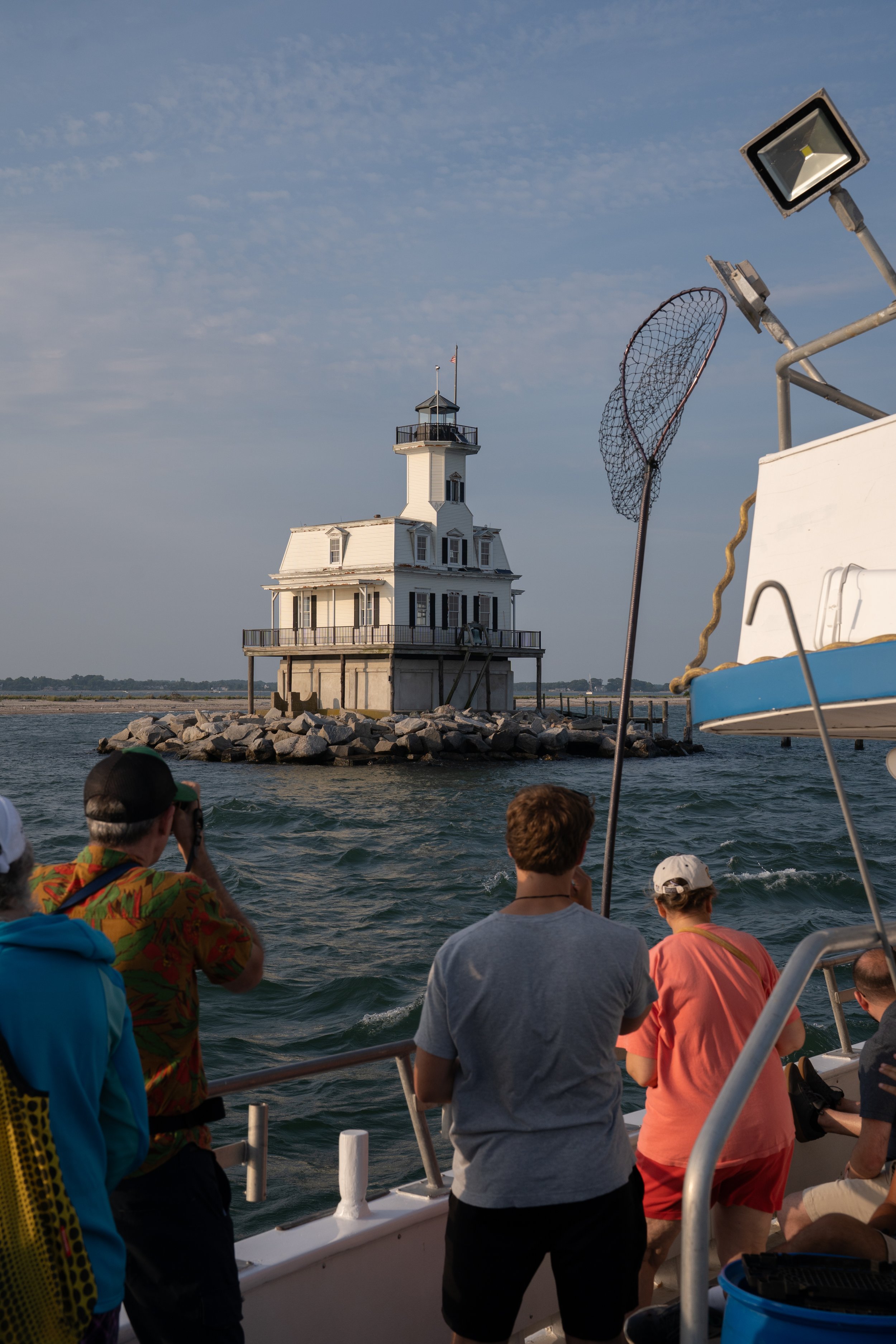 Bug Light Cruise 