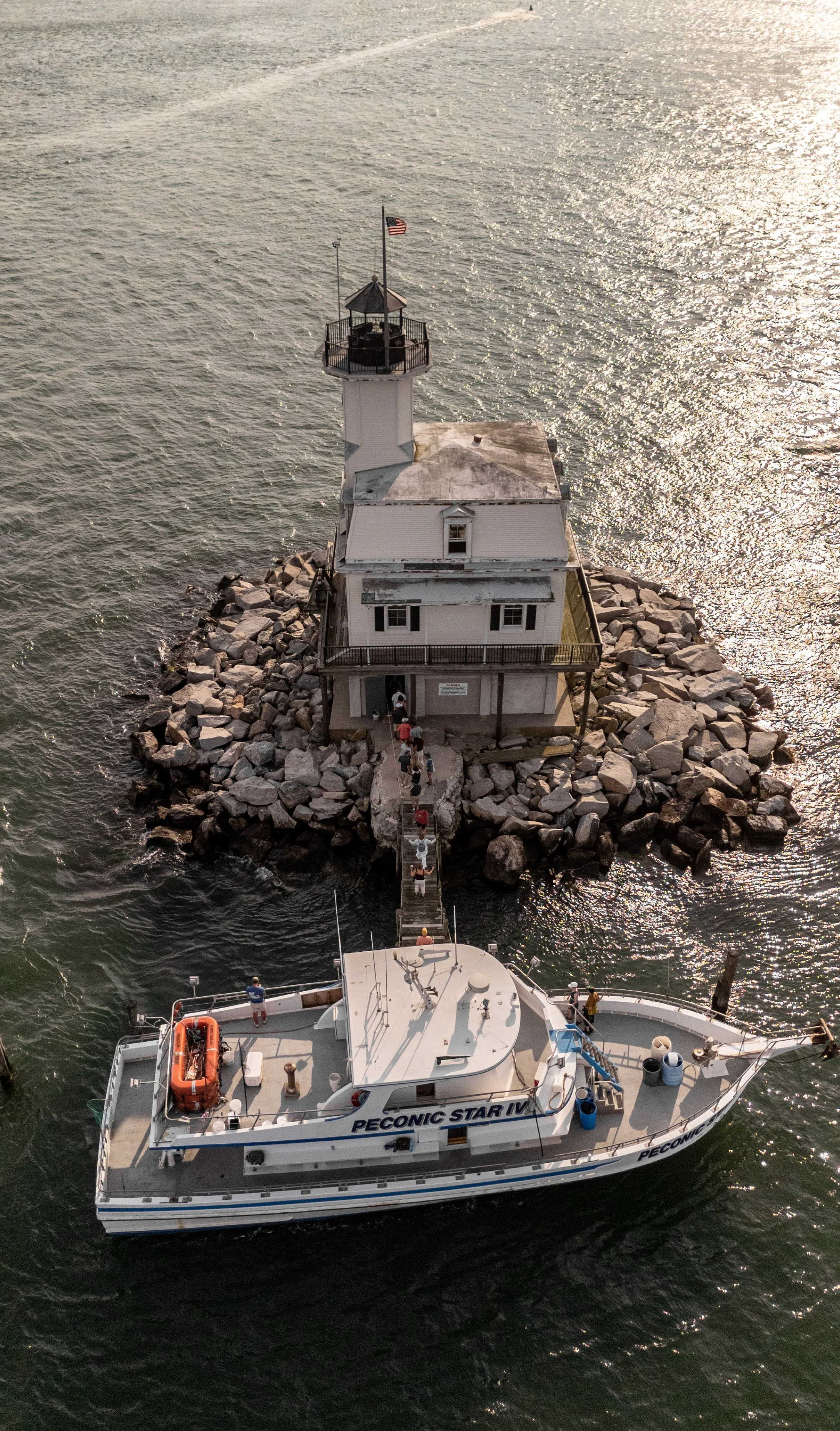 Bug Light Cruise