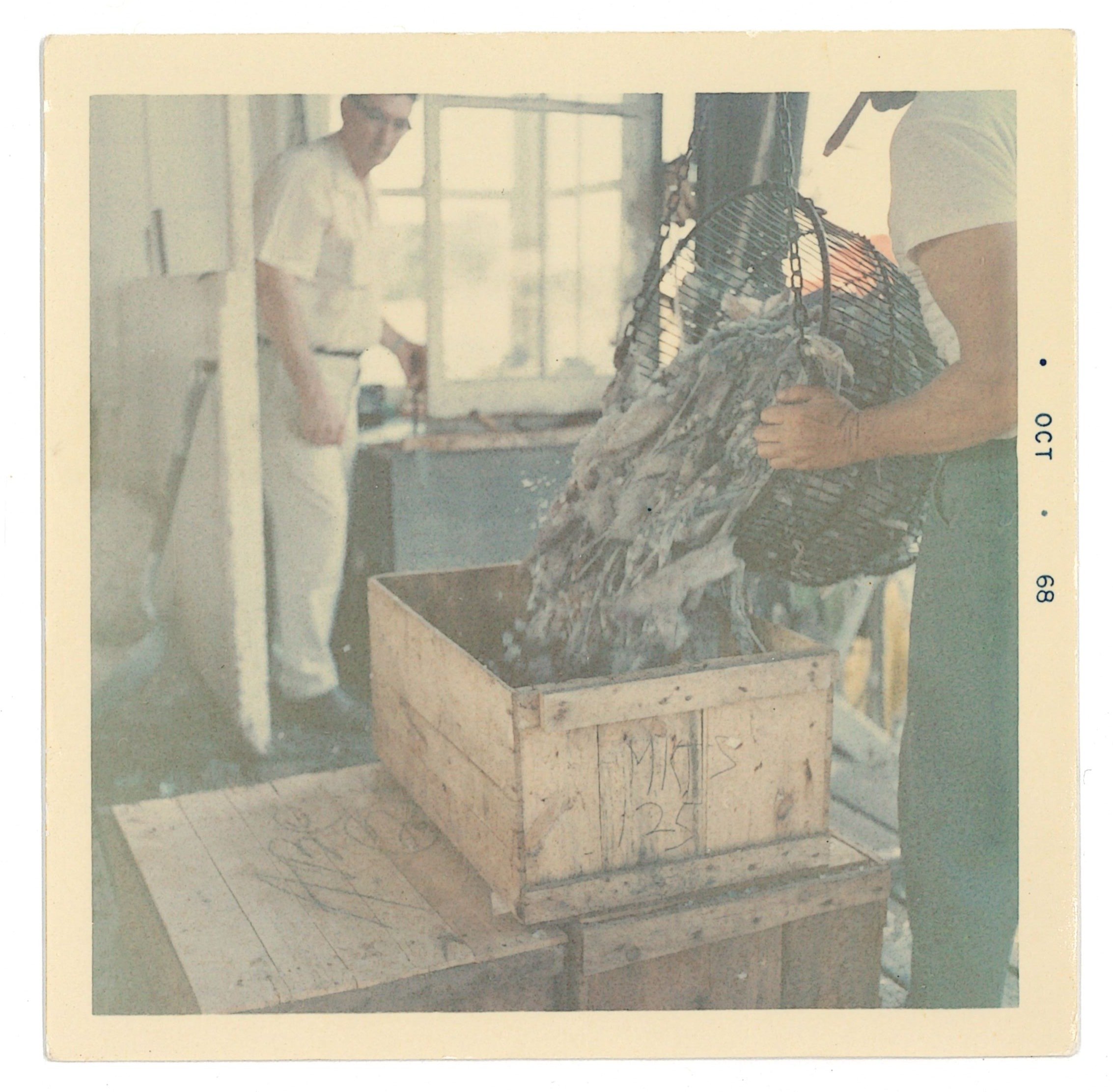 Squid Going in 100th Box, 1968