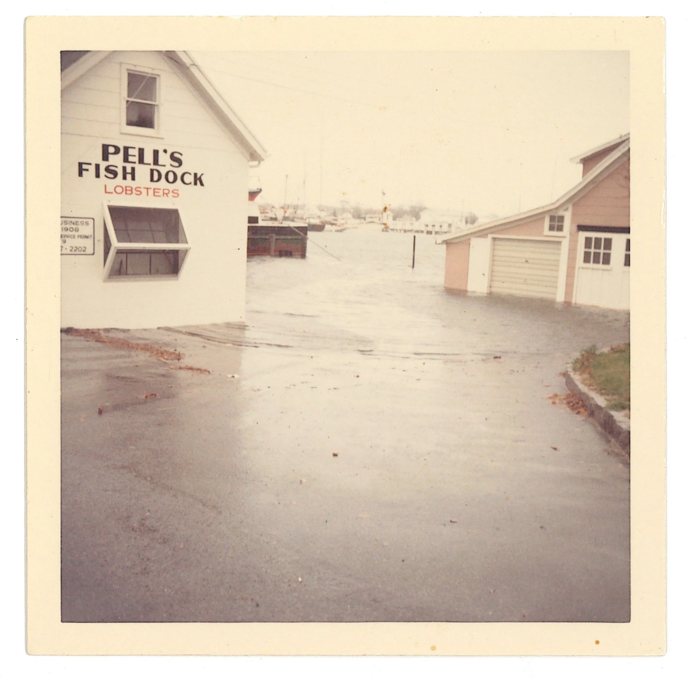 Pell's Fish Dock Flood 1, 1968