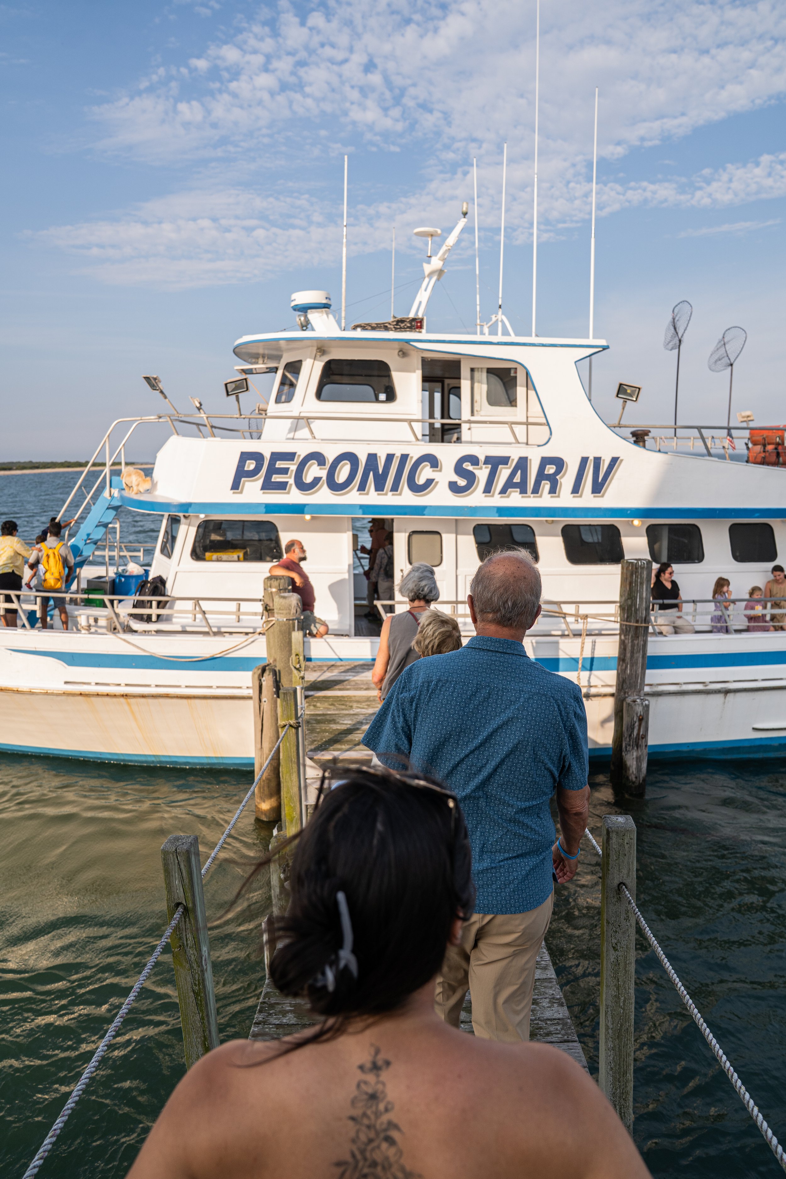 Bug Light Cruise 