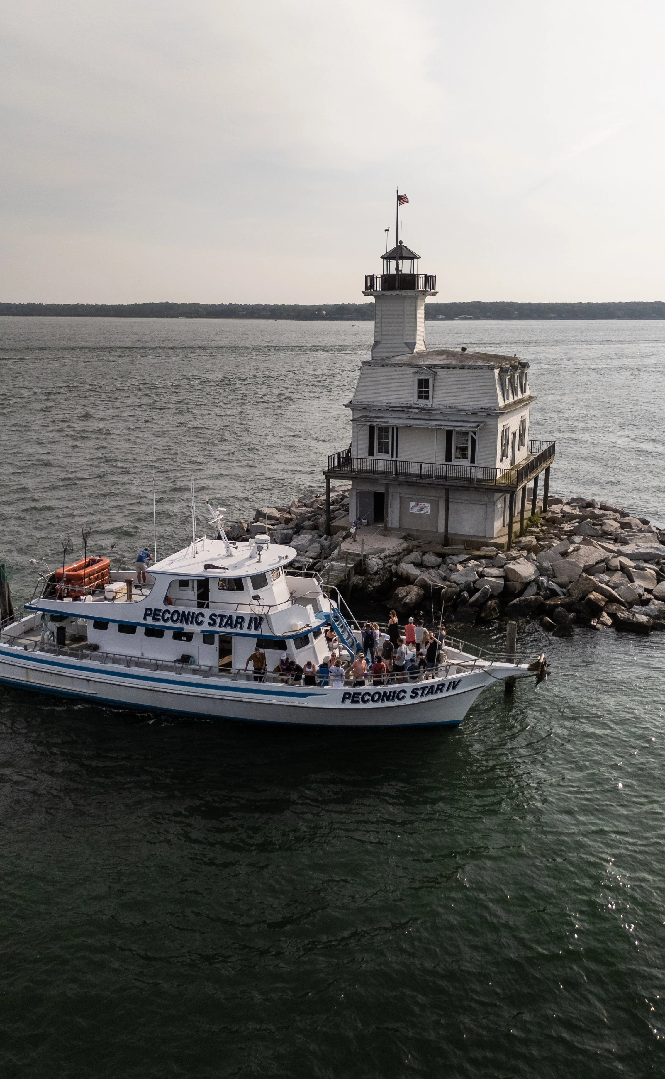 Bug Light Cruise