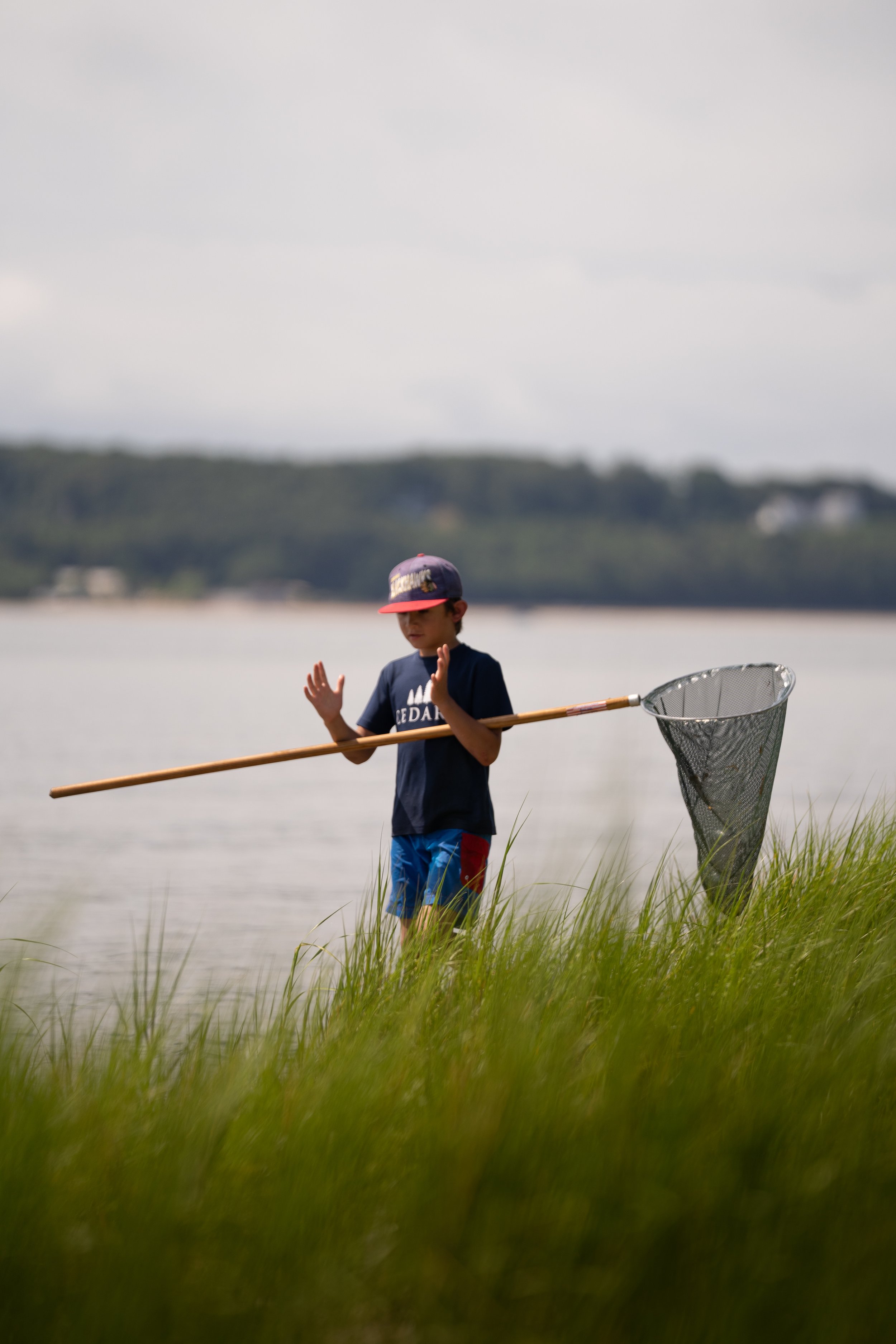 Summer Mornings: Eco Explorers