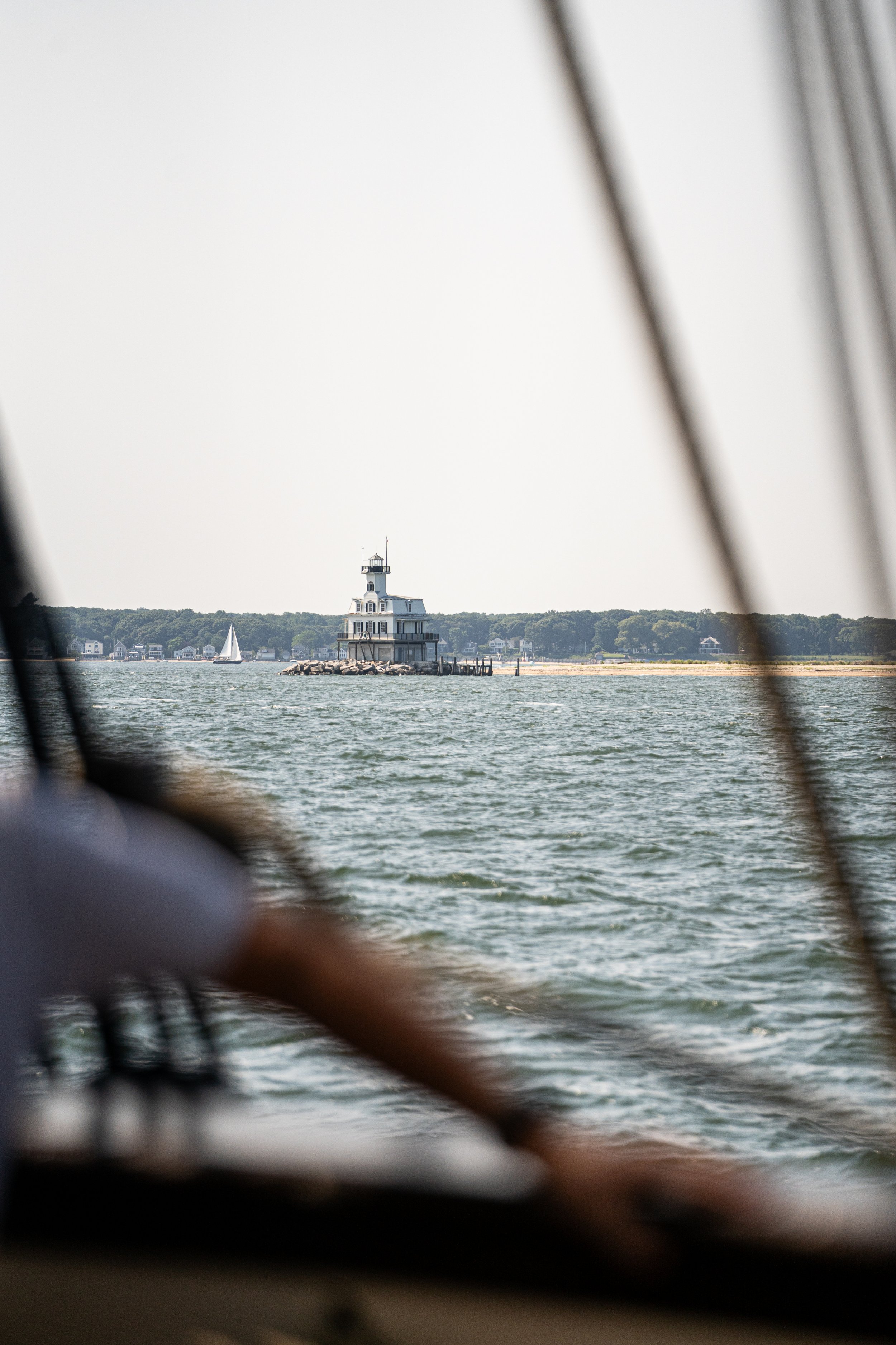 Bug Light Cruise