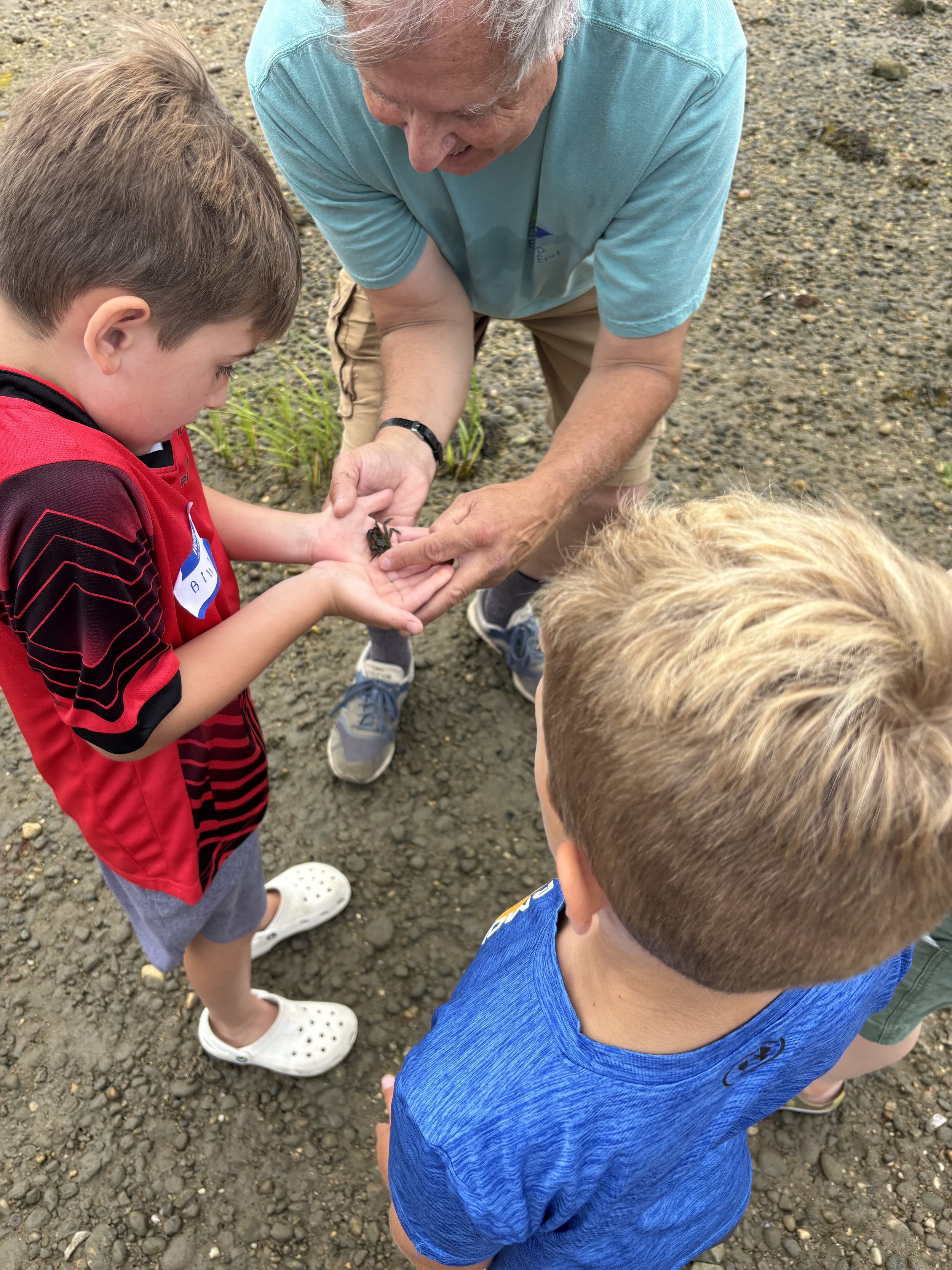 Summer Mornings: Eco Explorers!