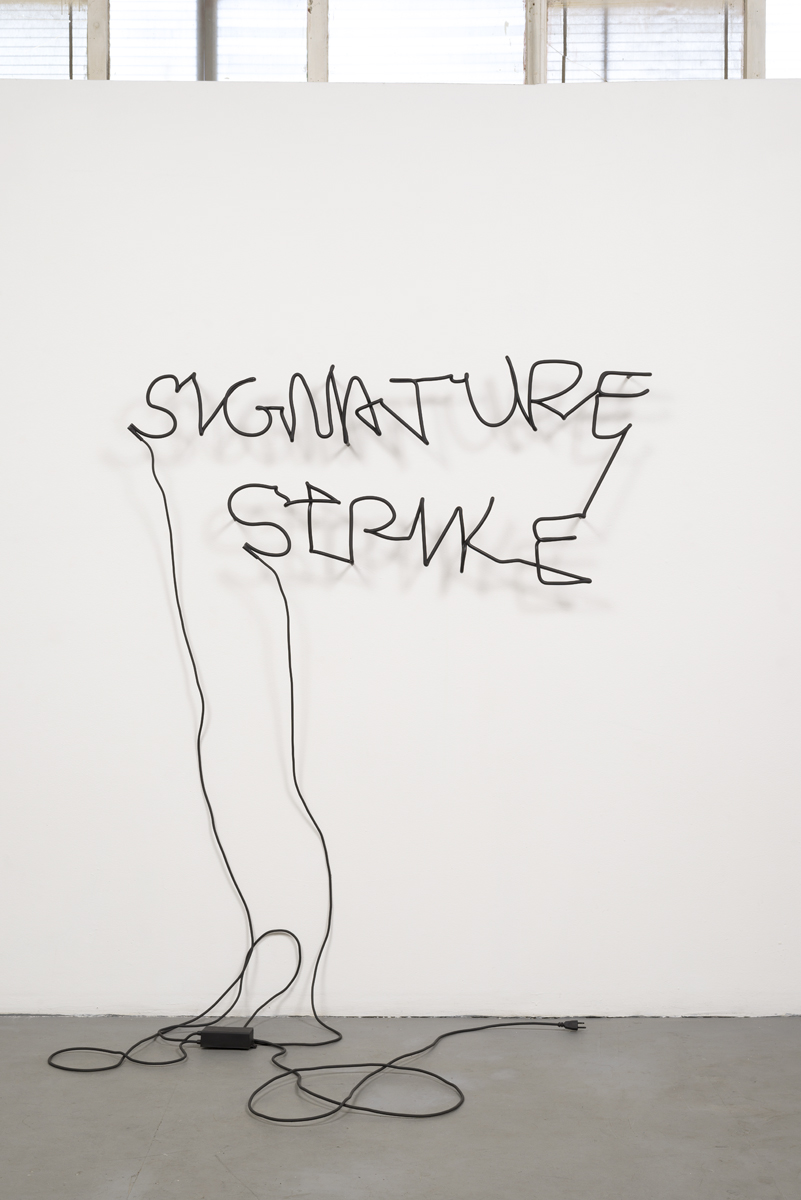 Signature Strike 1.jpg