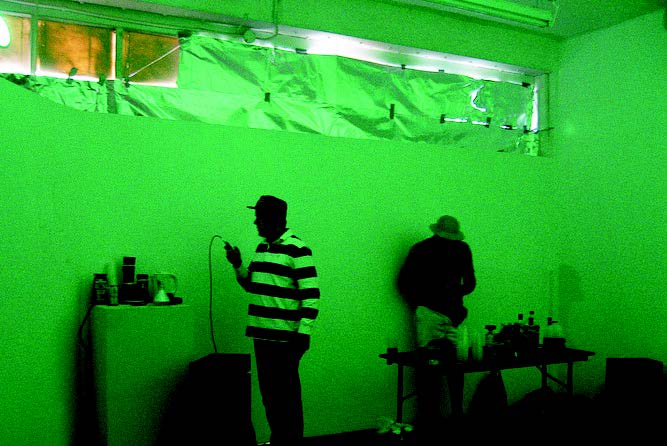 Daytime nightclub 