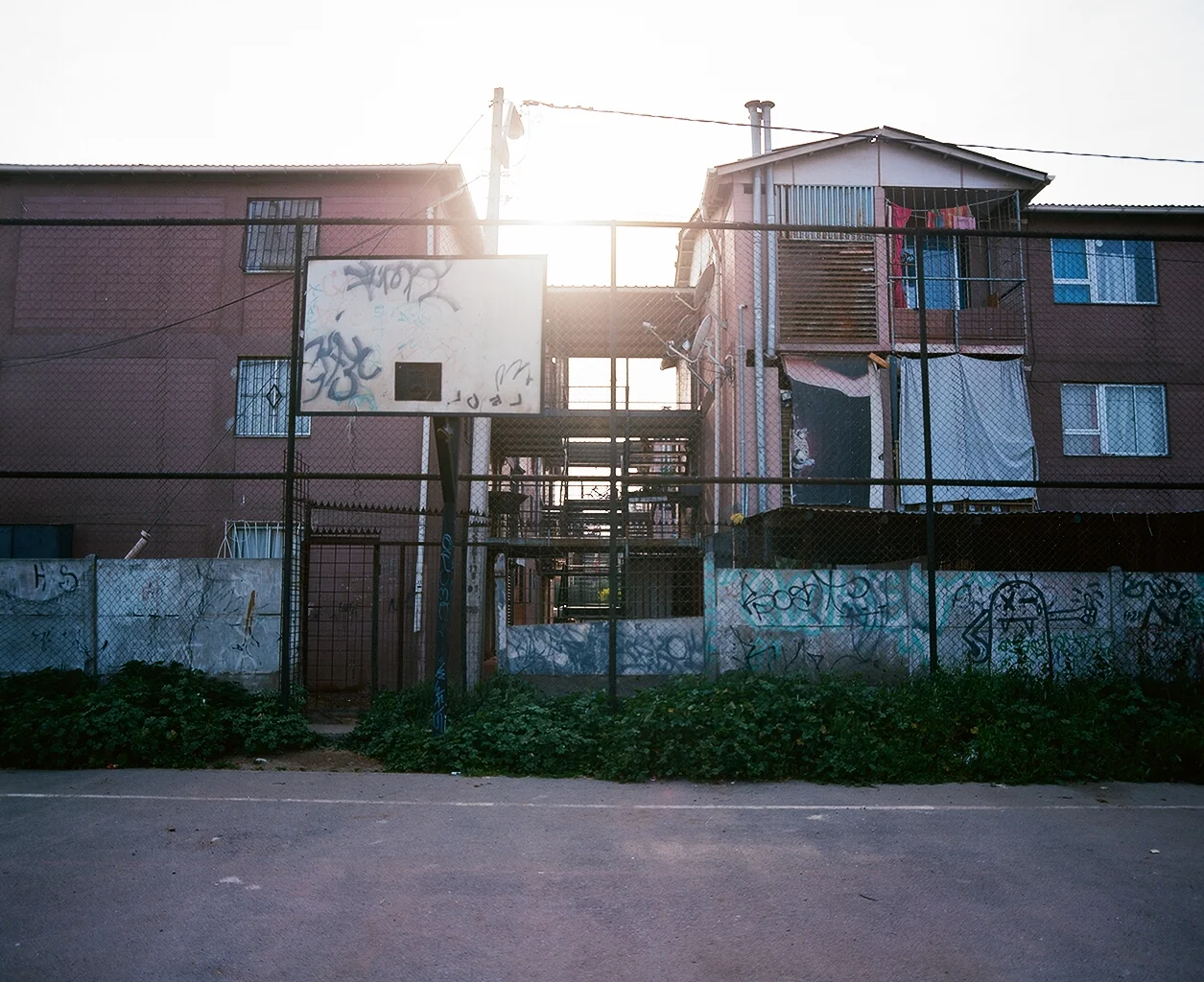 95890008.JPG
