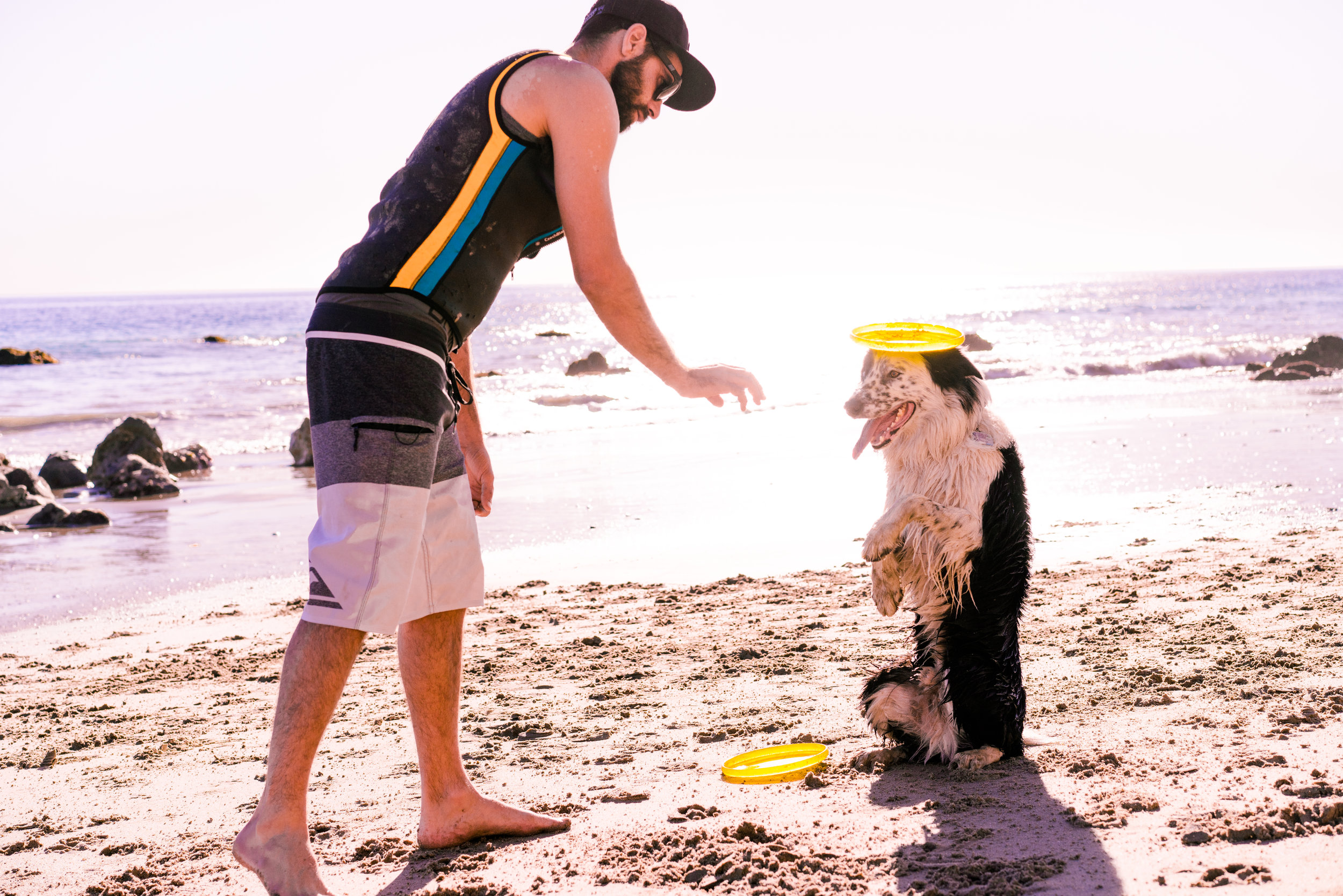 BenDogTrainer5.jpg
