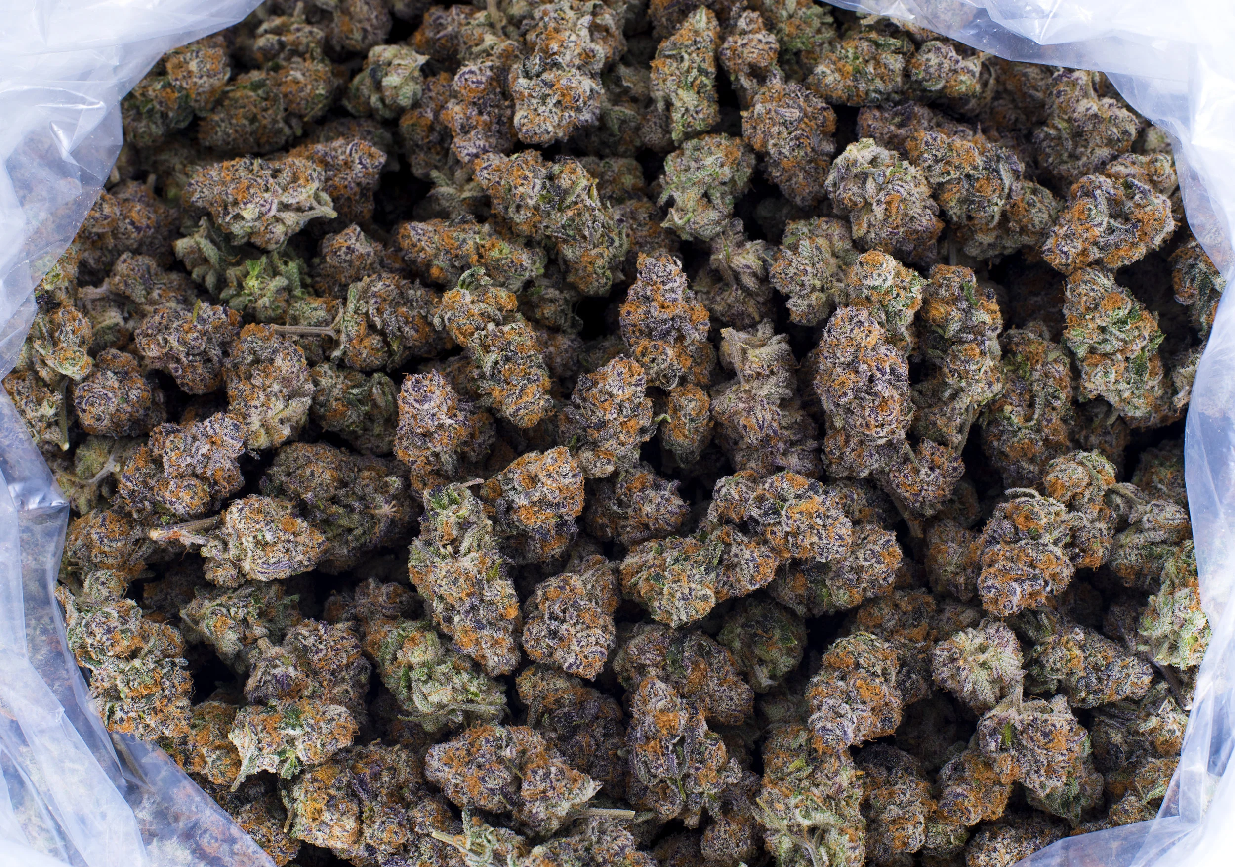 Purple Punch Flower Bag.jpg