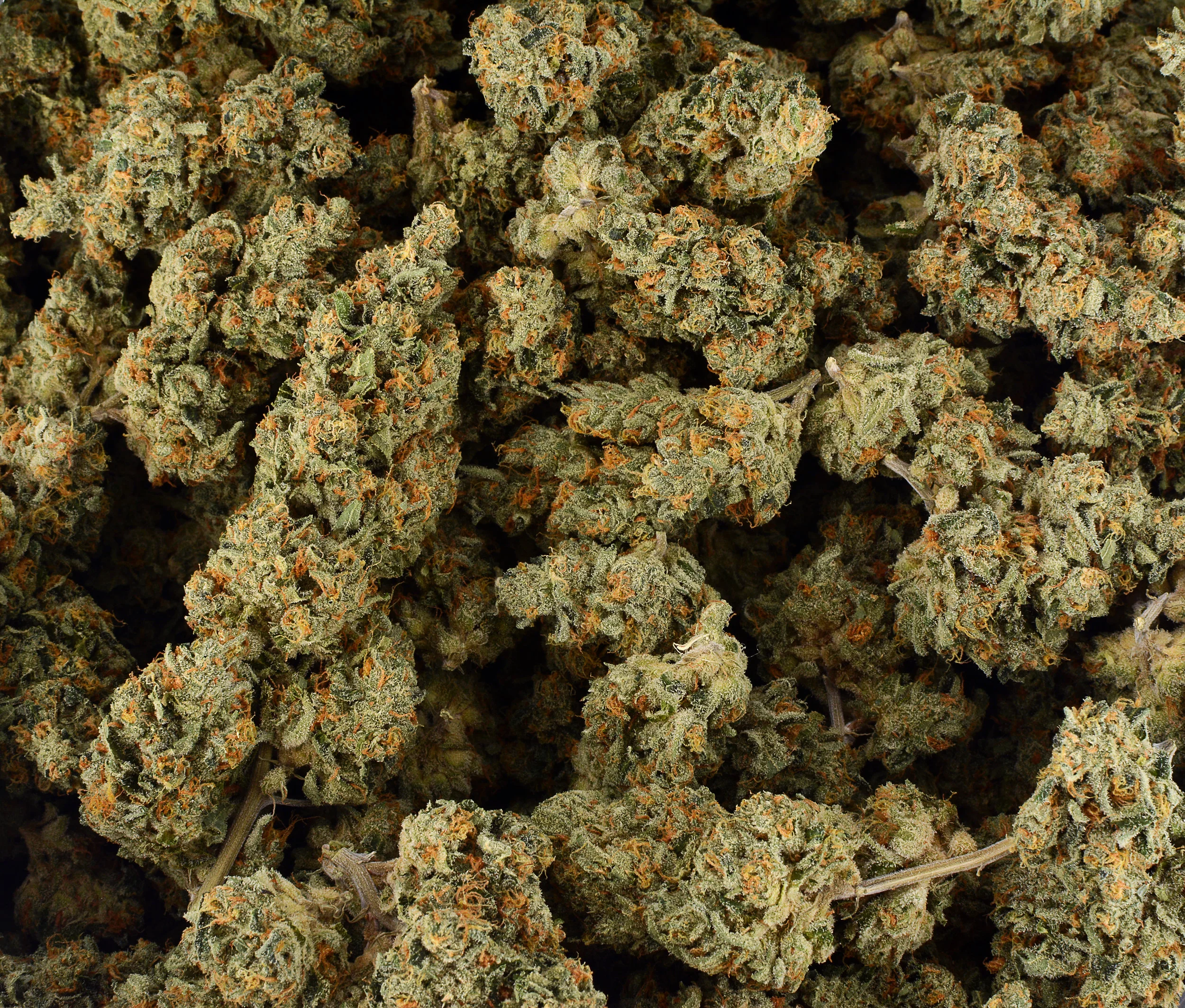 Orange Cookies Drop.jpg