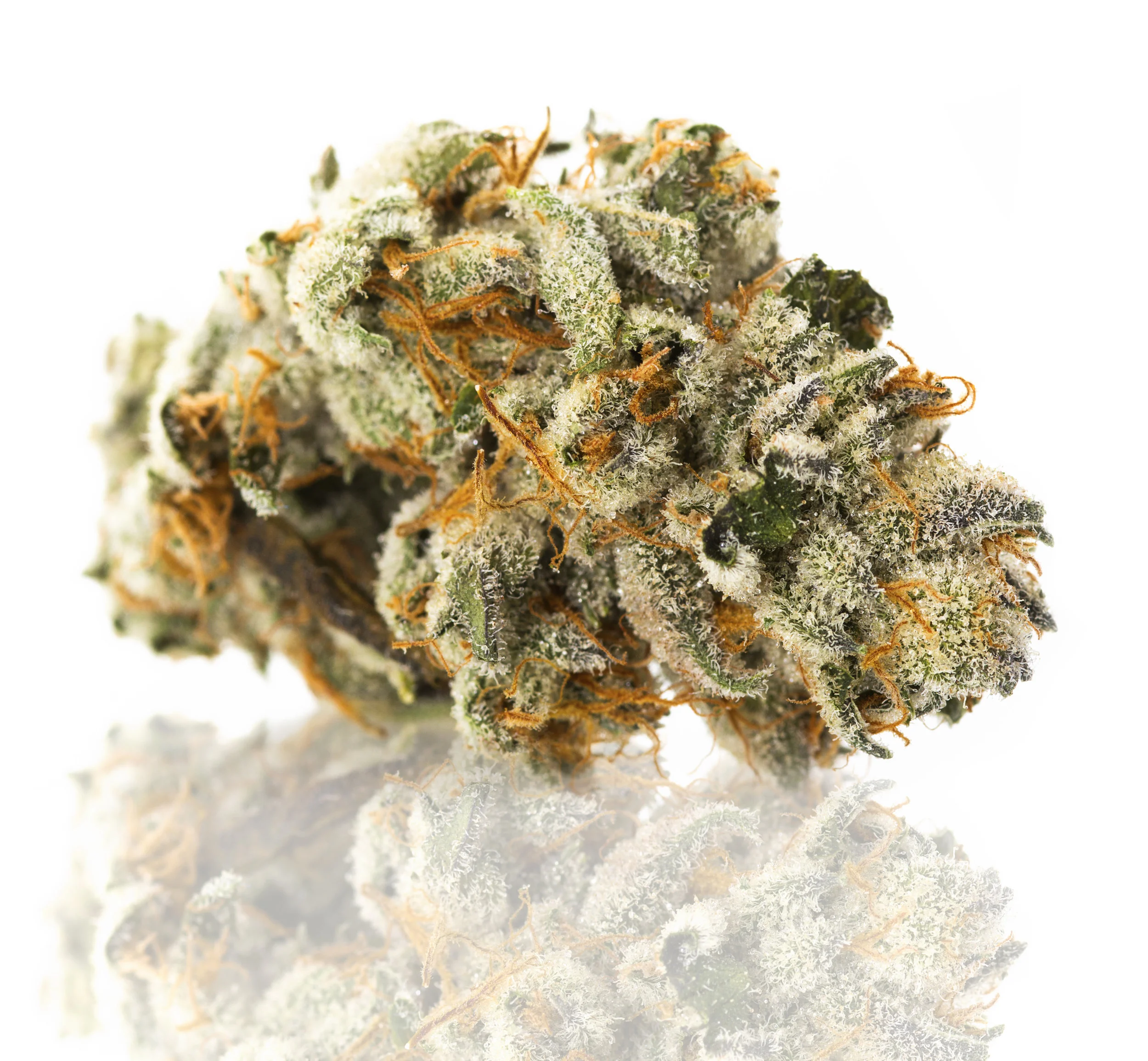 Strawberry Shortcake-3.jpg