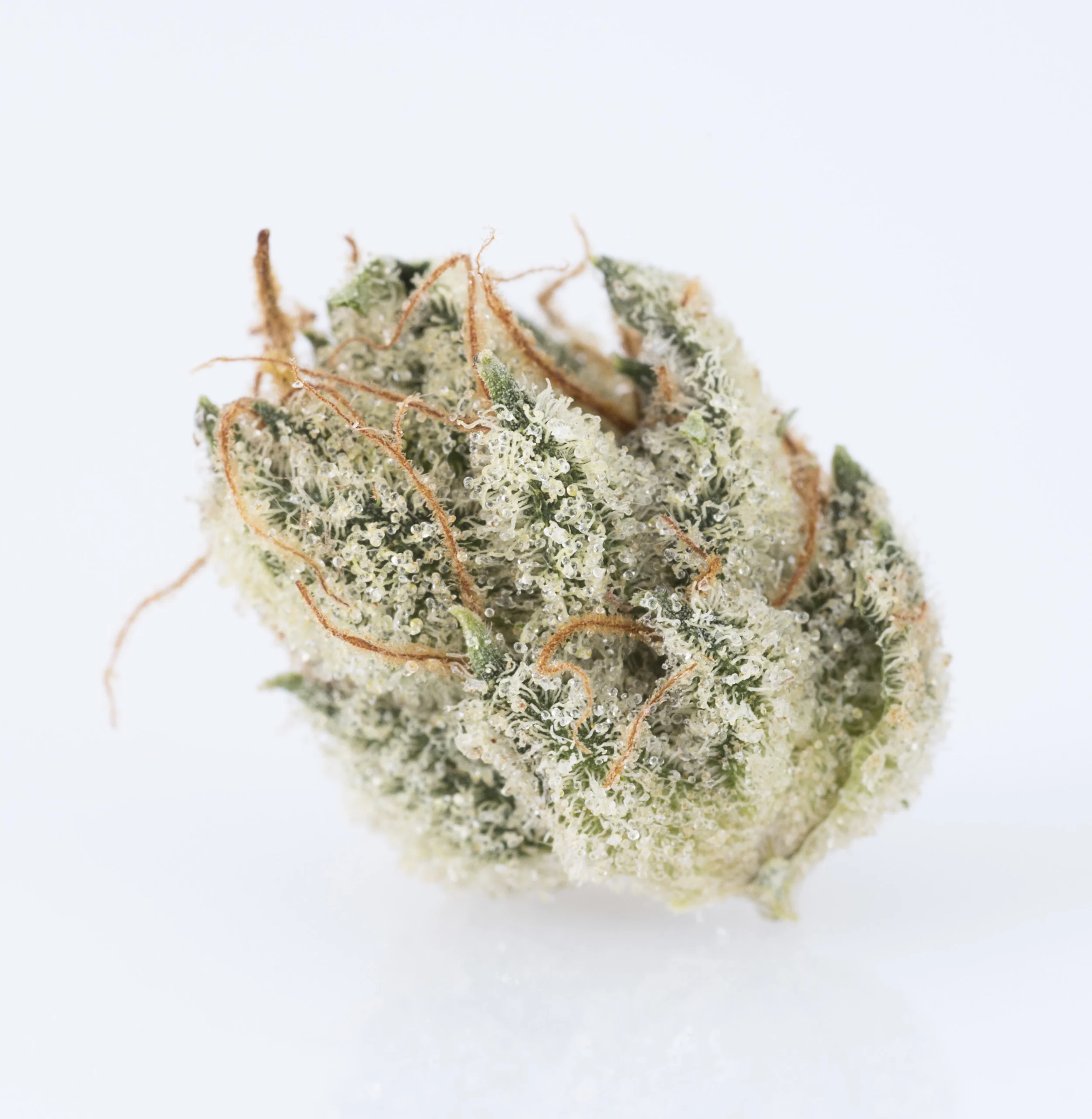 White Wookies #83.jpg