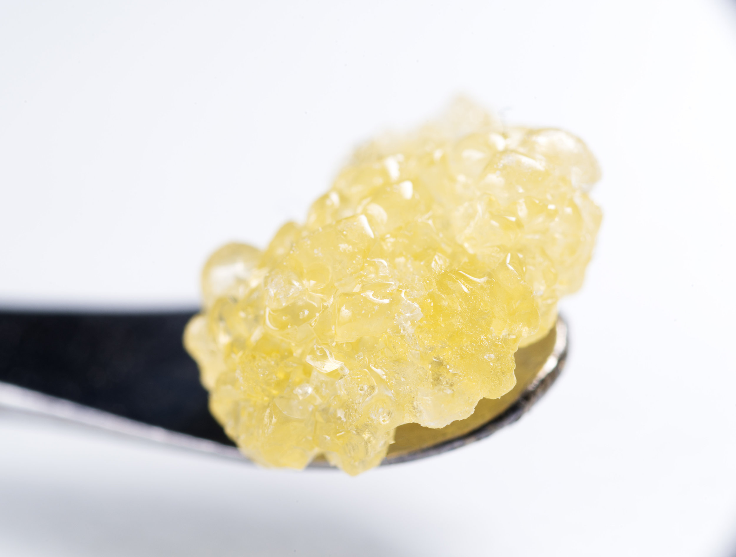 ORC-Sugar-Cube.jpg