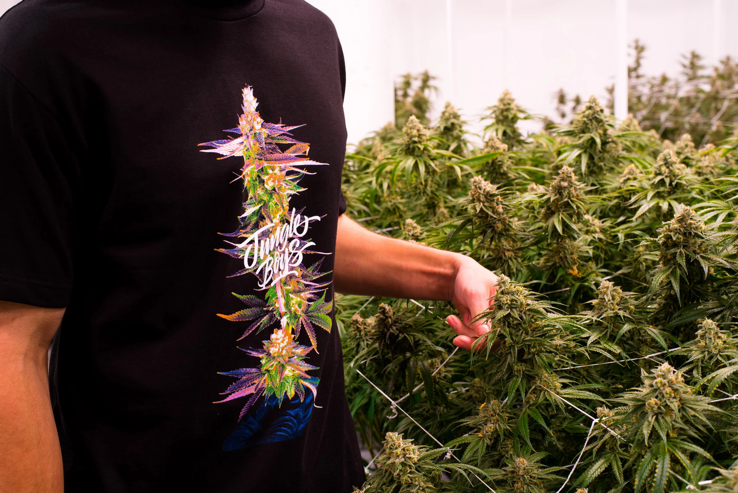 JBC-GrapeJilly-GrowT-IG-4.jpg