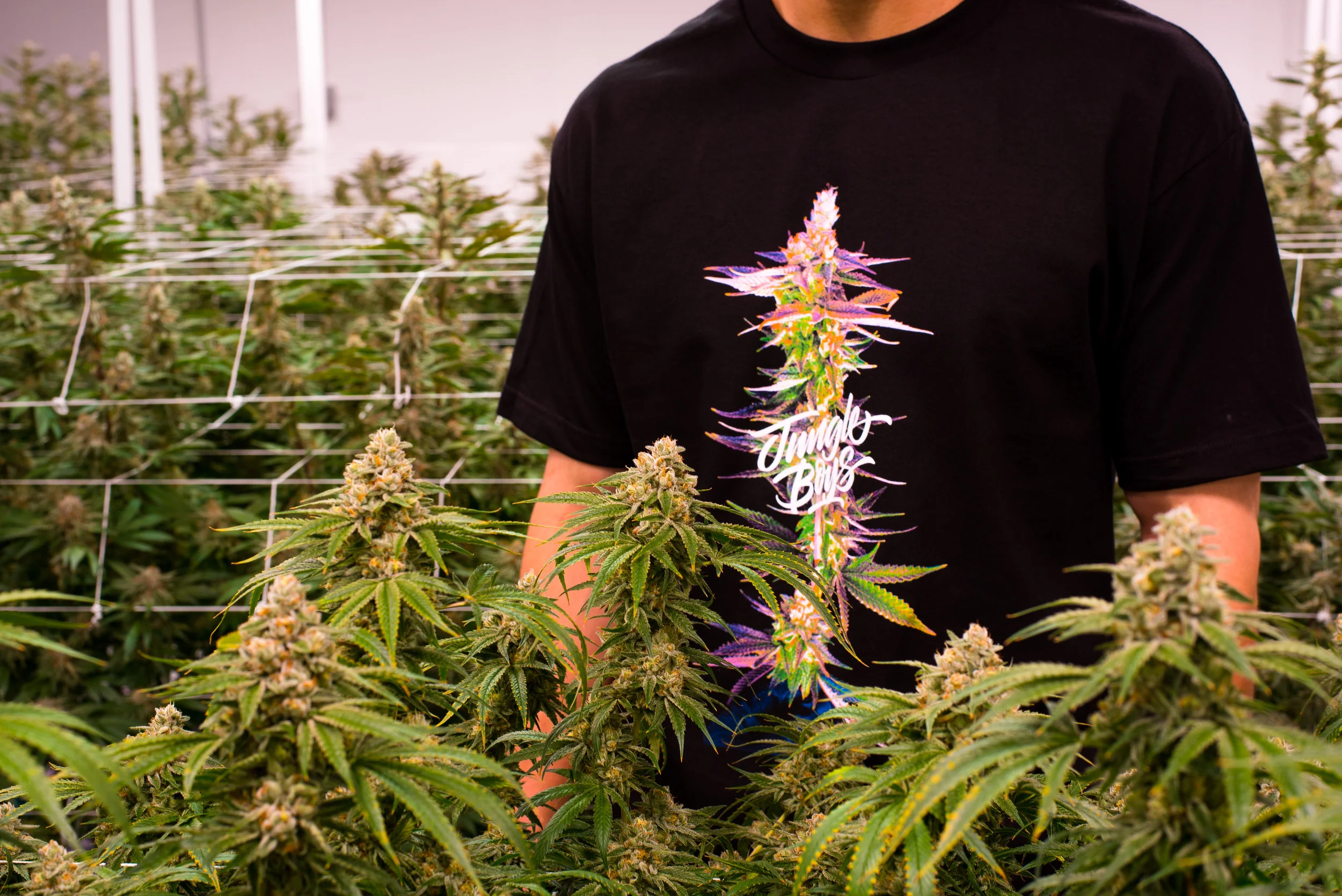 JBC-GrapeJilly-GrowT-IG-7.jpg