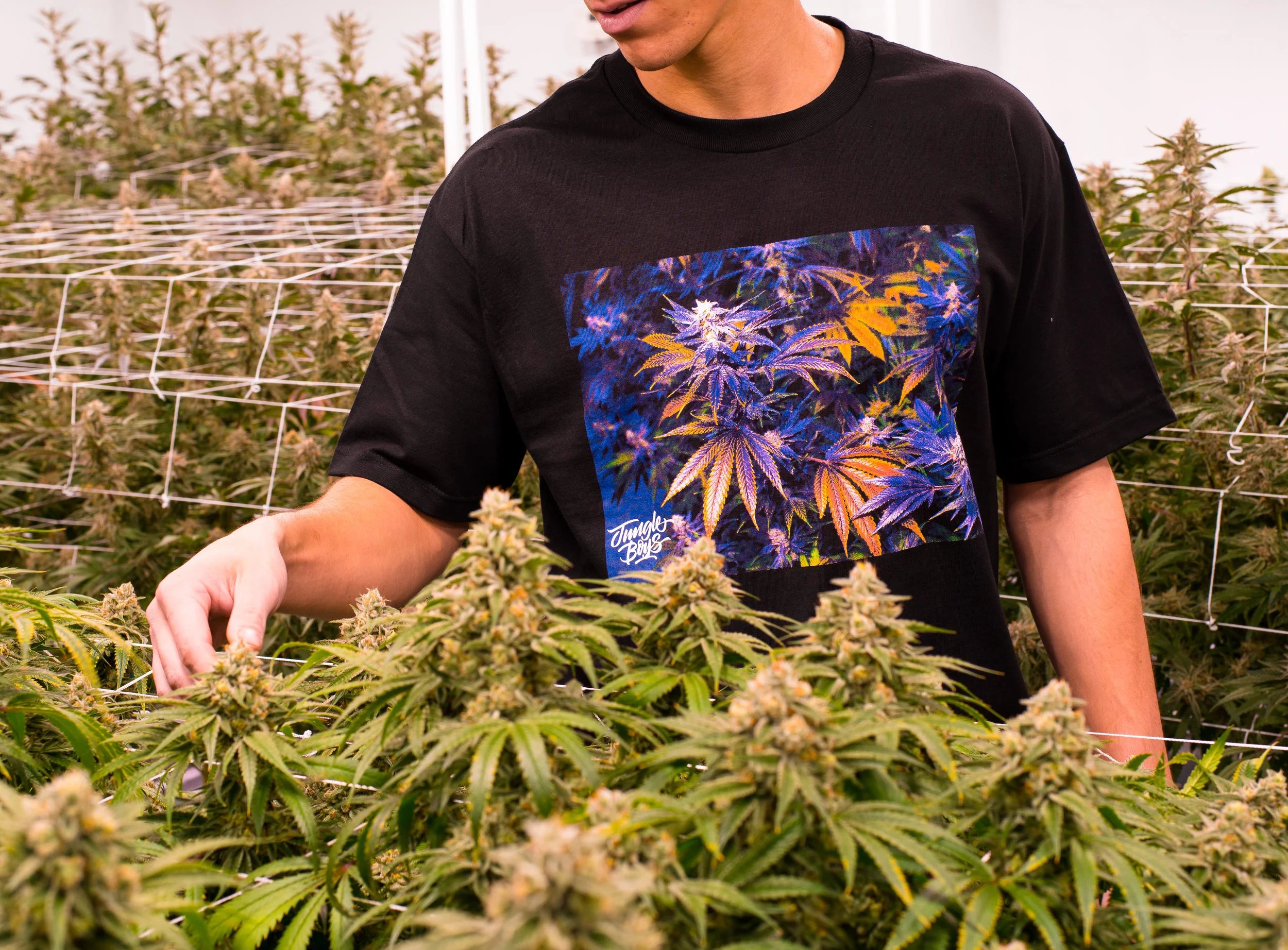 JBC-Sundae-GrowT-IG.jpg