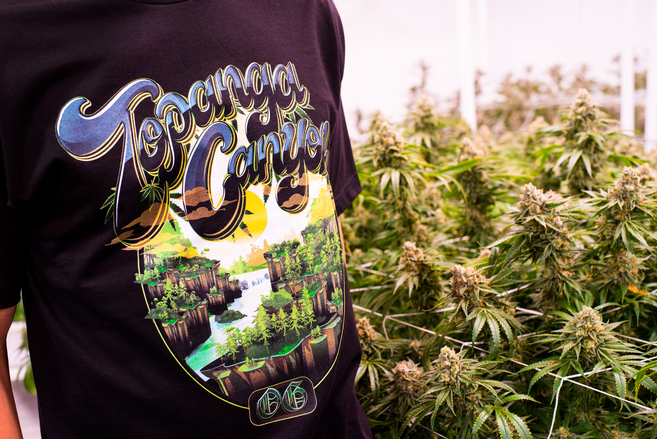 JBC-Topanga-GrowT-IG-3.jpg