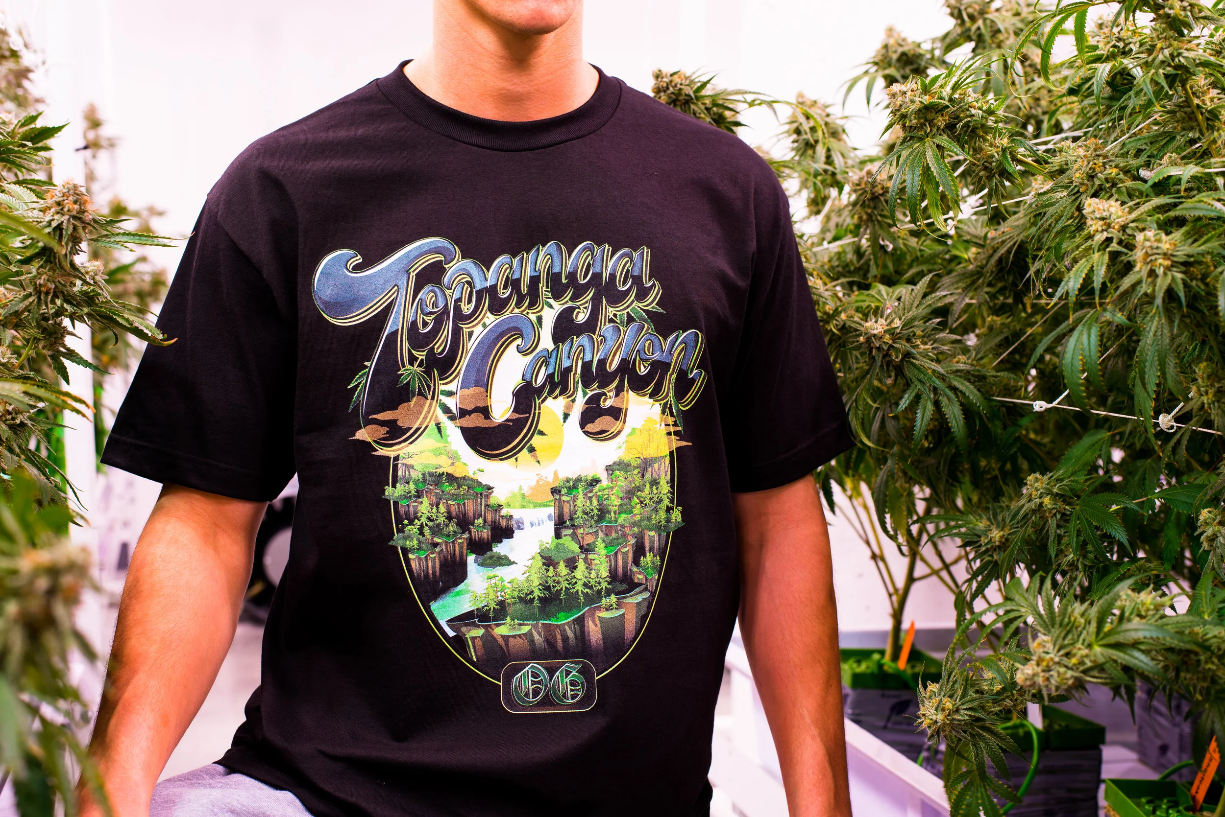 JBC-Topanga-GrowT-IG.jpg