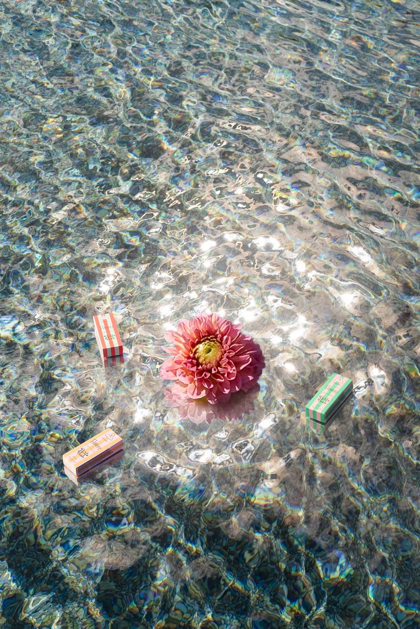 20240813_07846.jpg