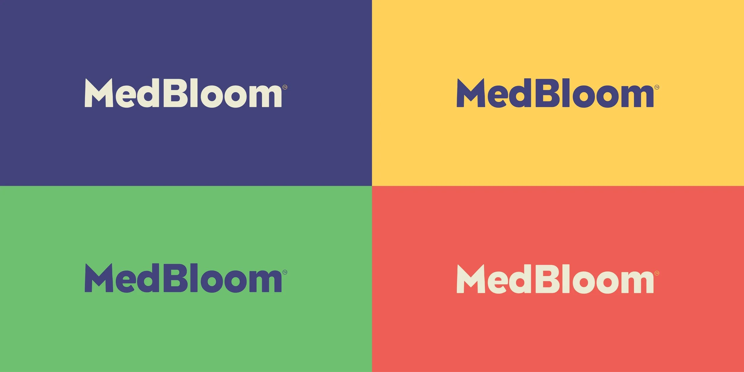 MedBloom Presentation for Web-04.jpg