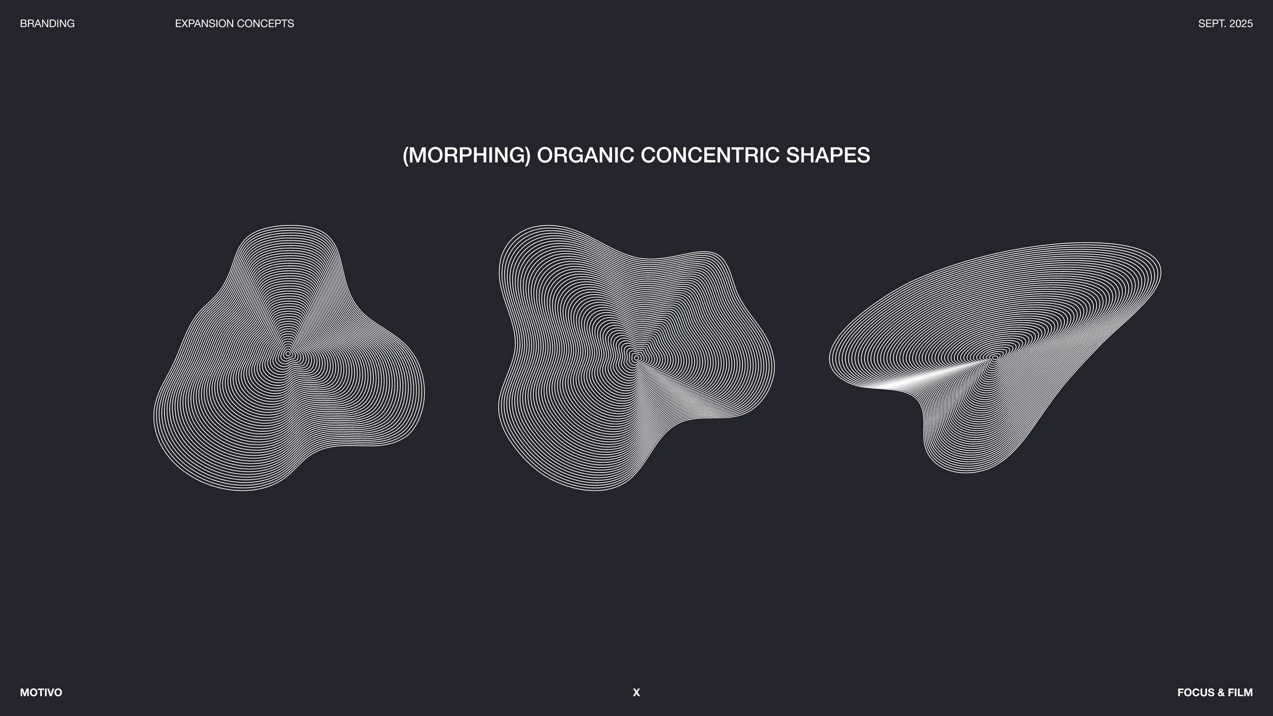 Motivo Web Portfolio-21.jpg