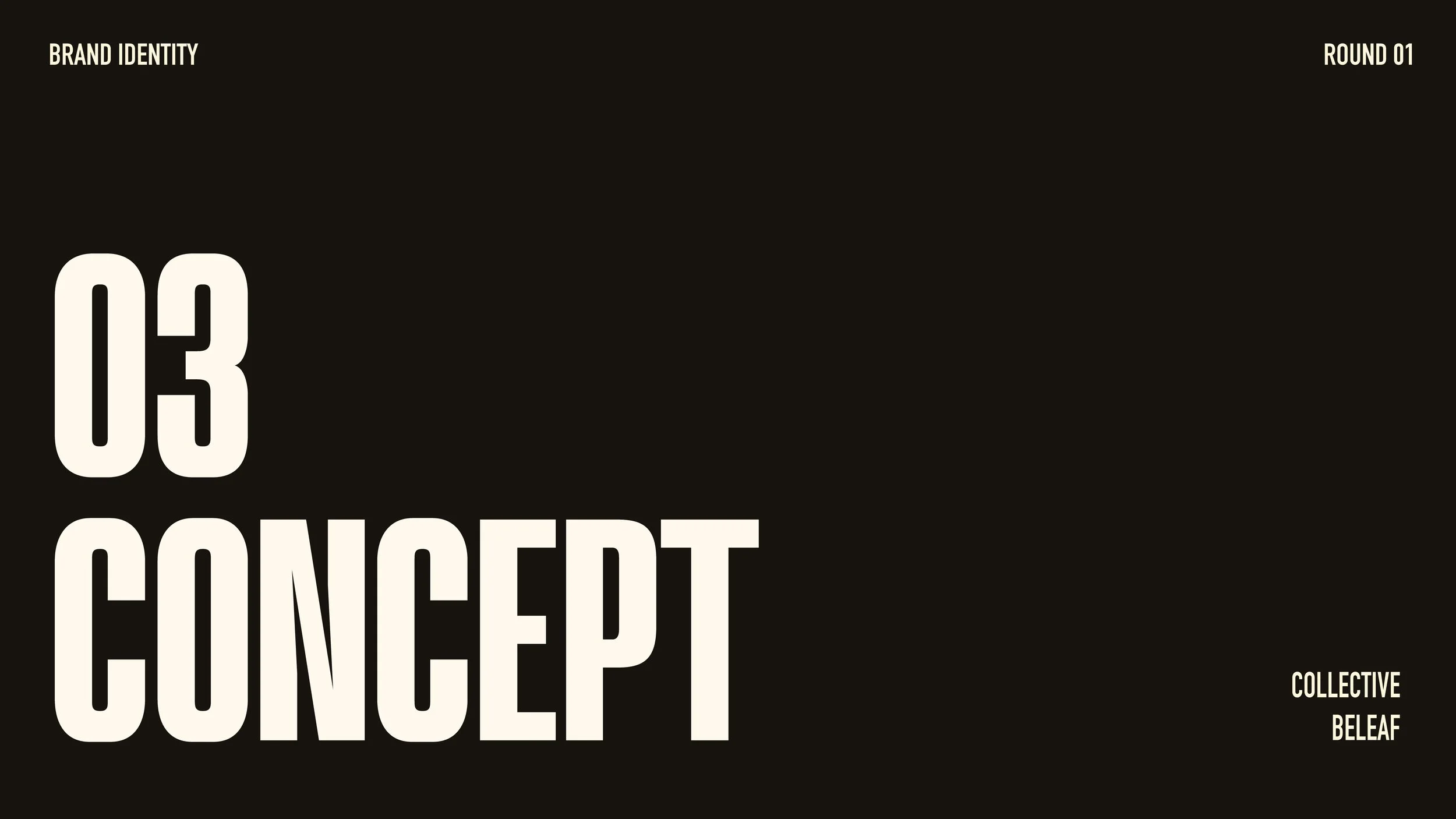 Collective Beleaf Brand Identity-34.jpg