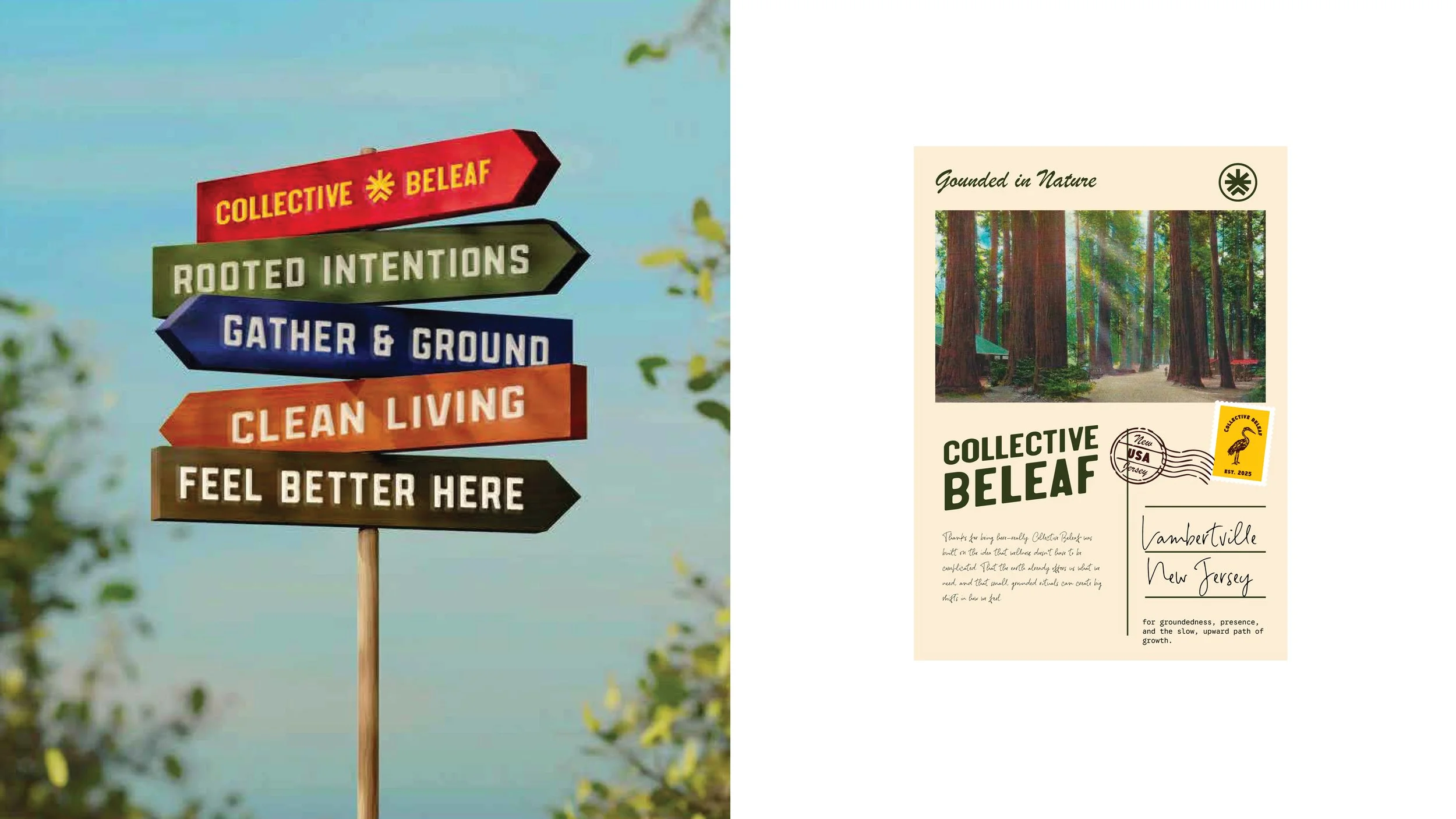 Collective Beleaf Brand Identity-14.jpg