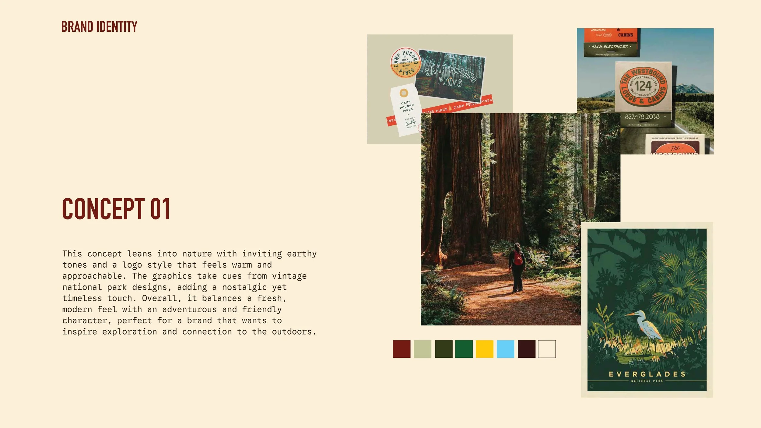 Collective Beleaf Brand Identity-06.jpg