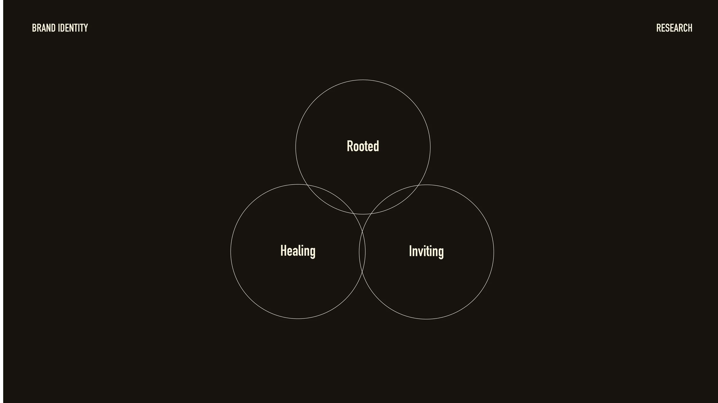 Collective Beleaf Brand Identity-04.jpg