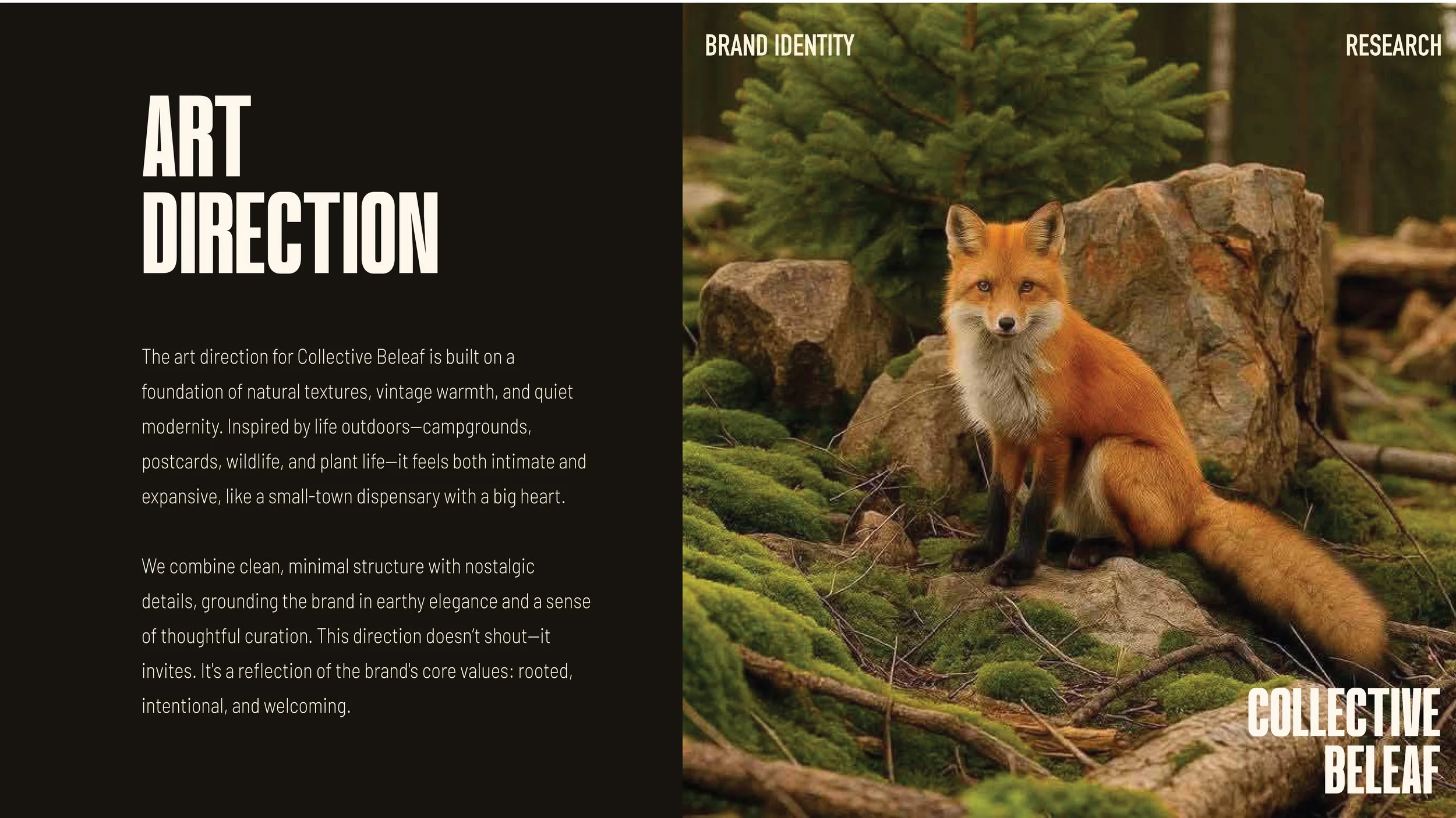 Collective Beleaf Brand Identity-03.jpg
