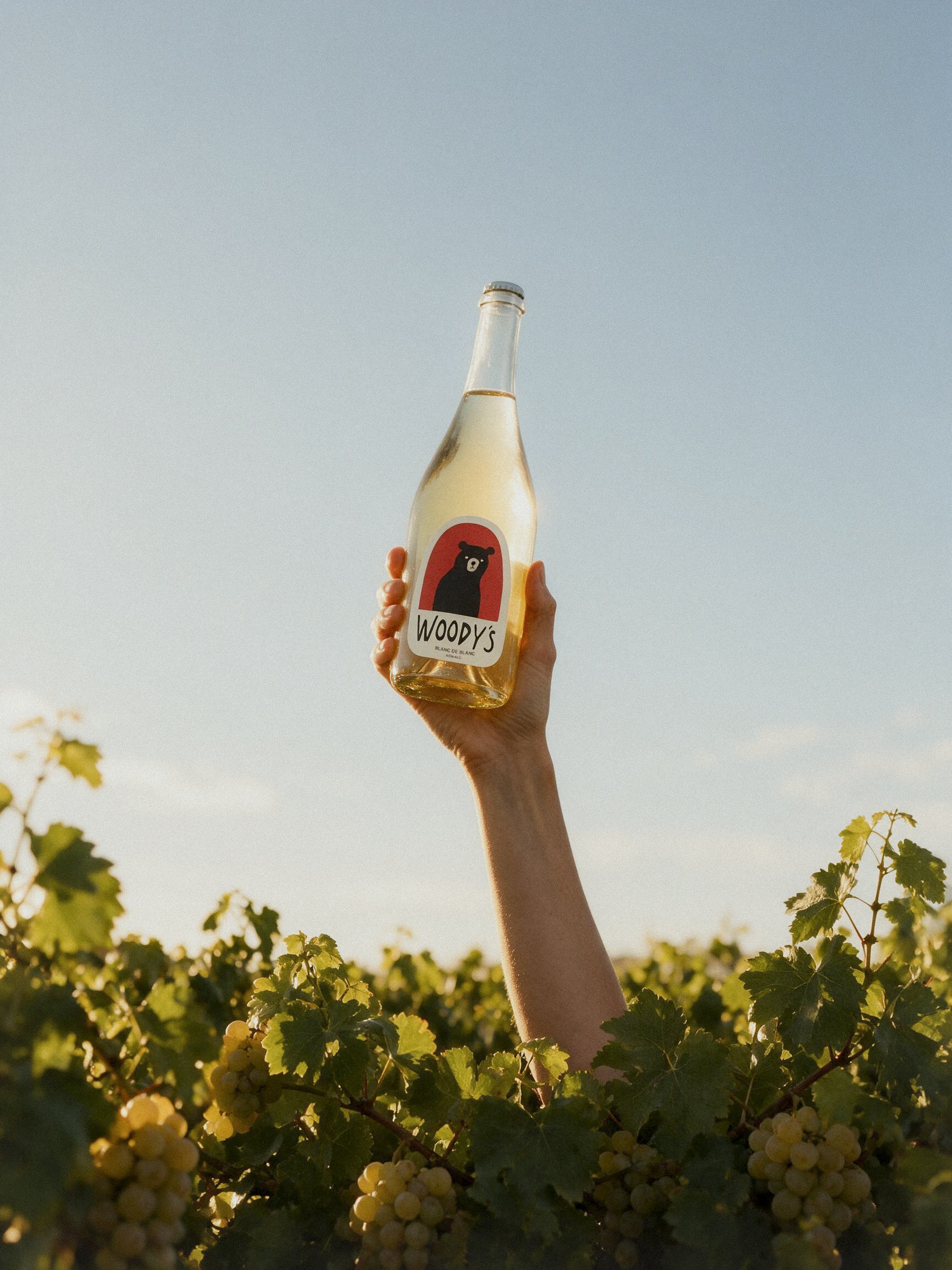Woody's - Blanc Vineyard Hero.jpg