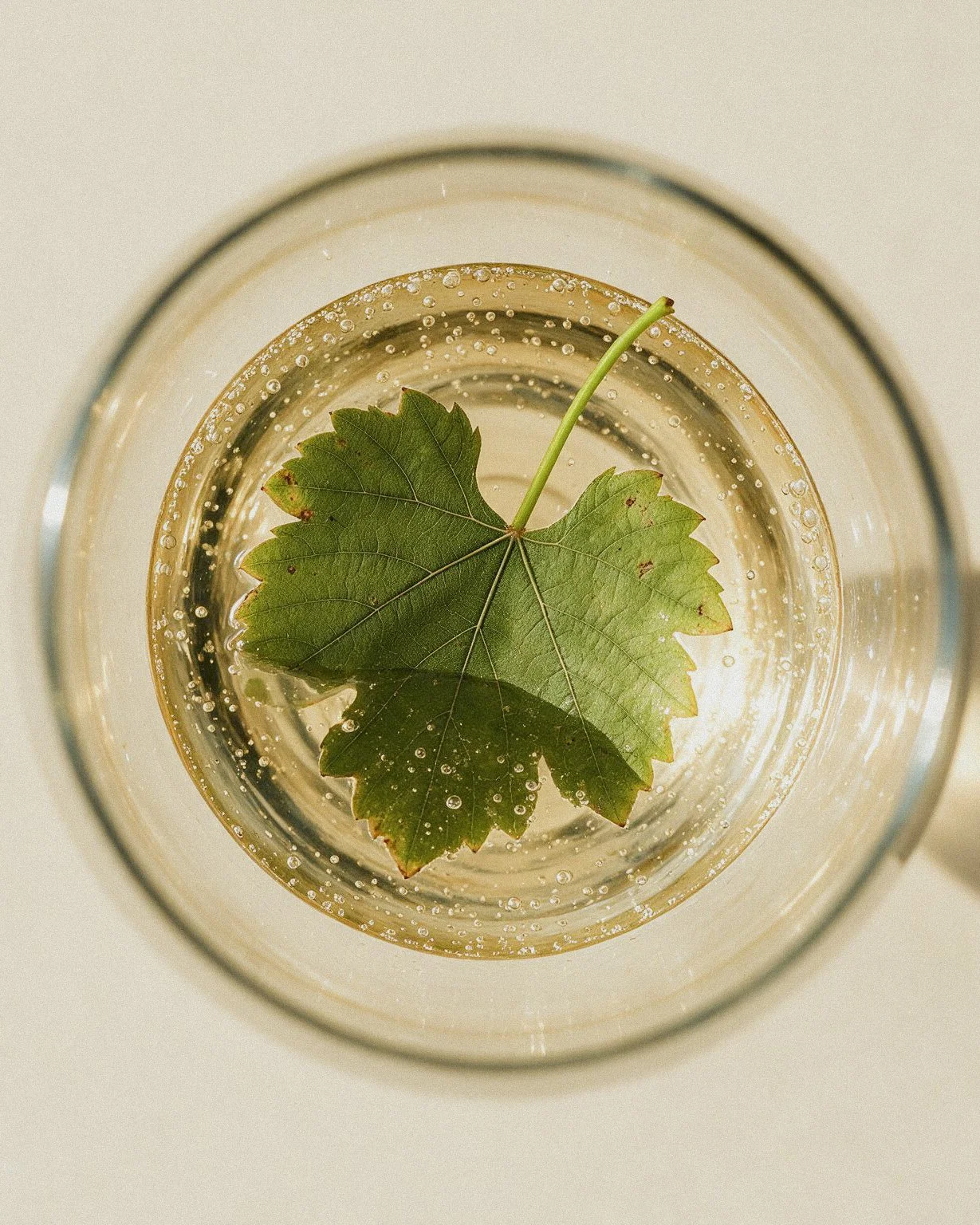 Woody's - Blanc Wine Glass 2.jpg
