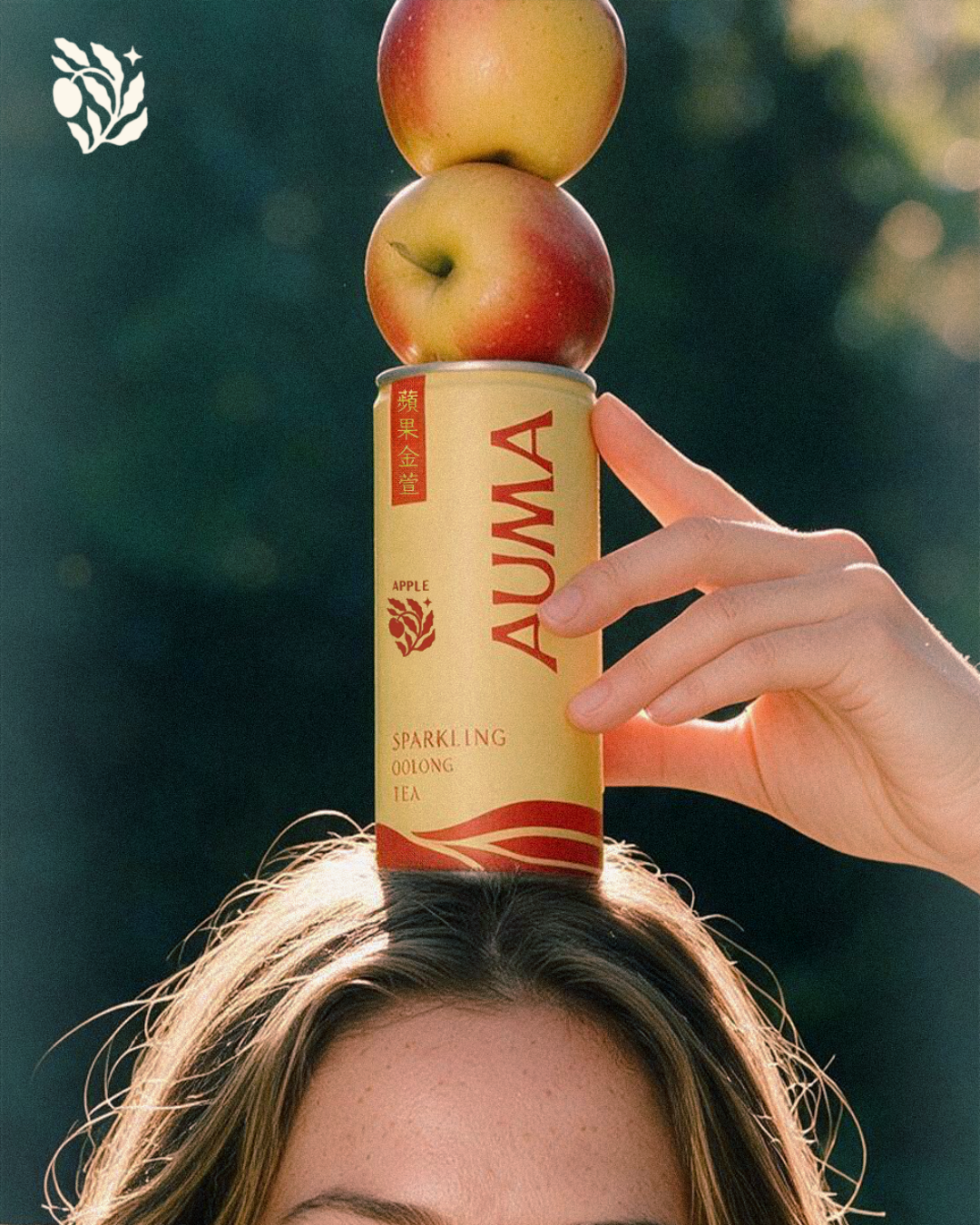 Auma Can Head Stack.png